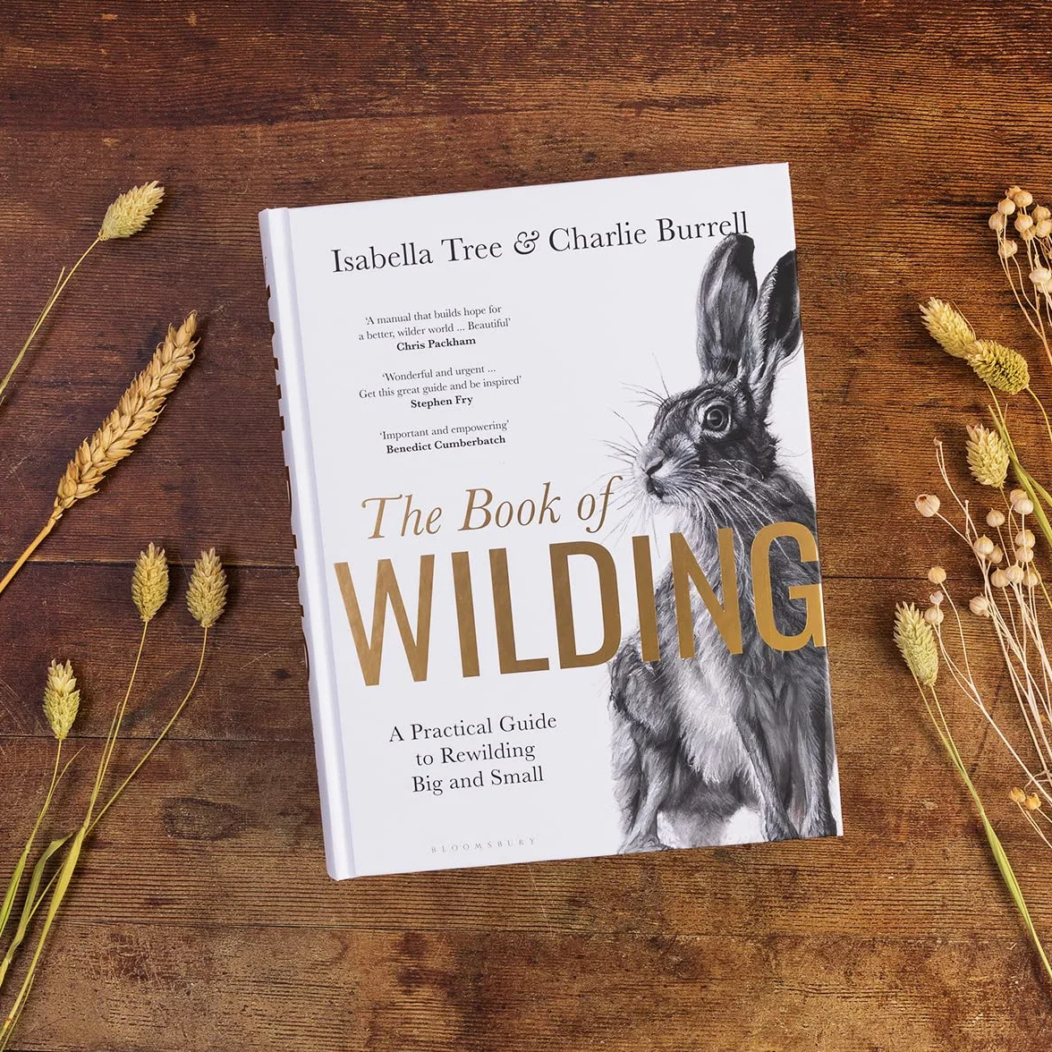 The Book of Wilding: A Practical Guide to Rewilding, Big and Small