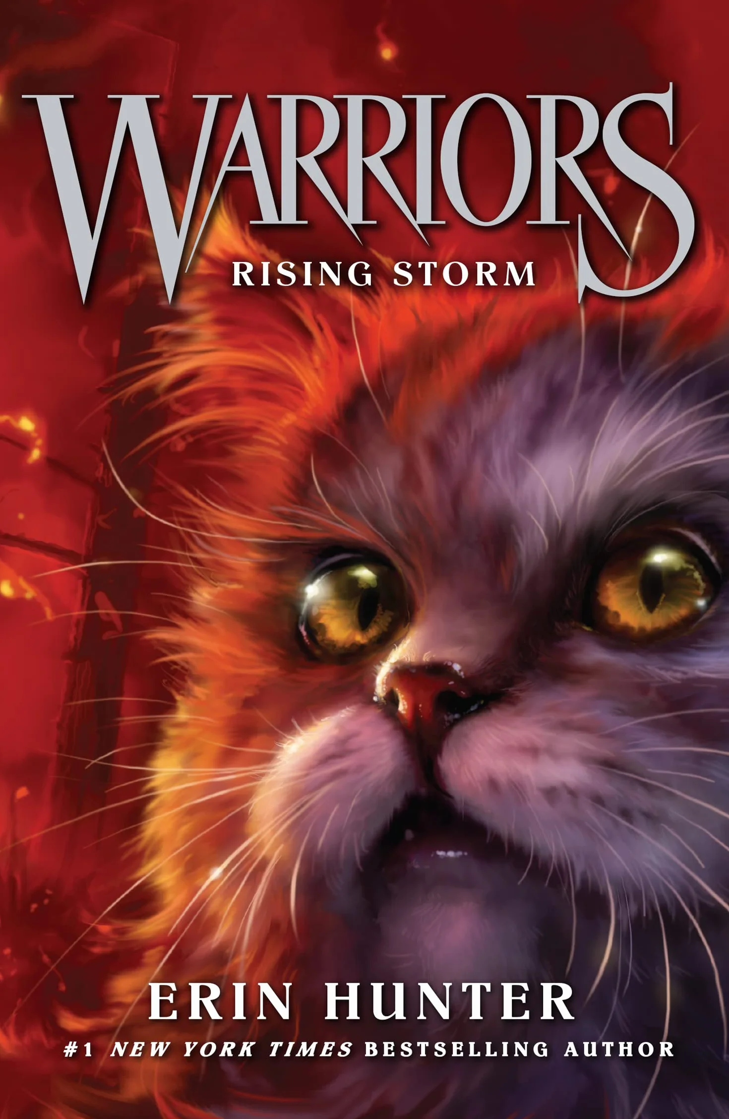 Rising Storm: Discover the Warrior Cats, the bestselling children’s fantasy series of animal tales: Book 4