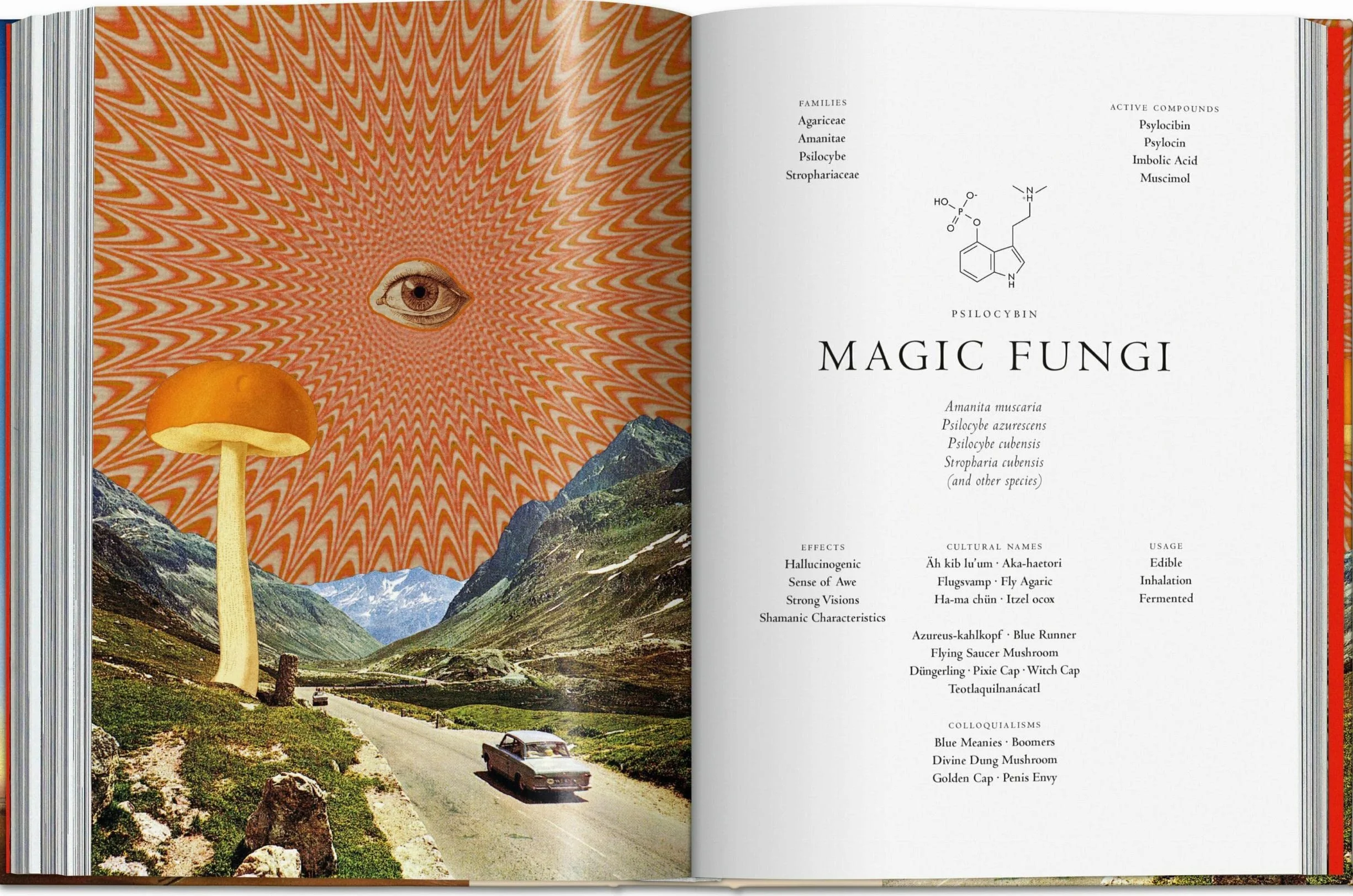 Plant Magick. the Library of Esoterica