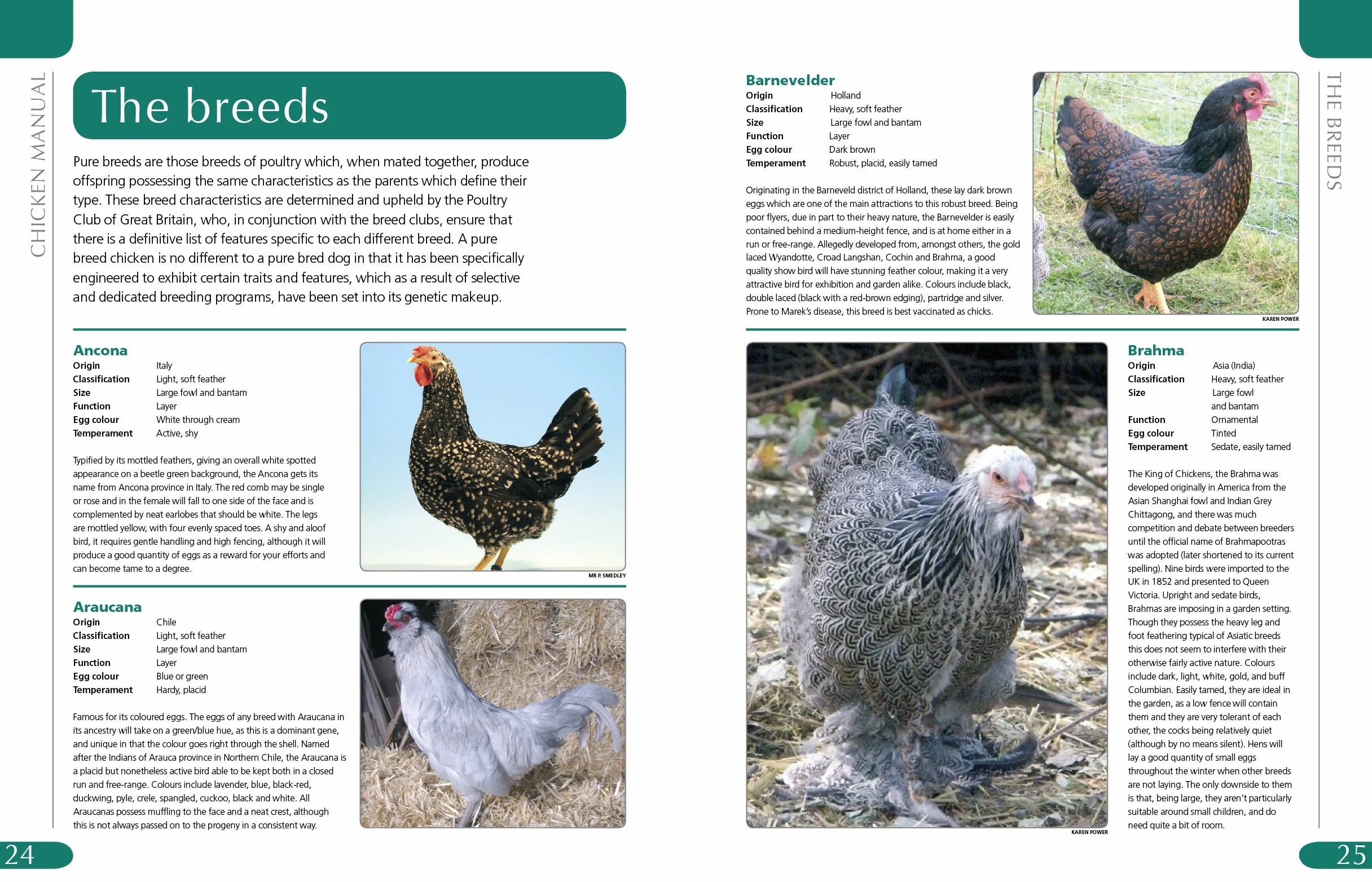 Chicken Manual: The complete step-by-step guide to keeping chickens