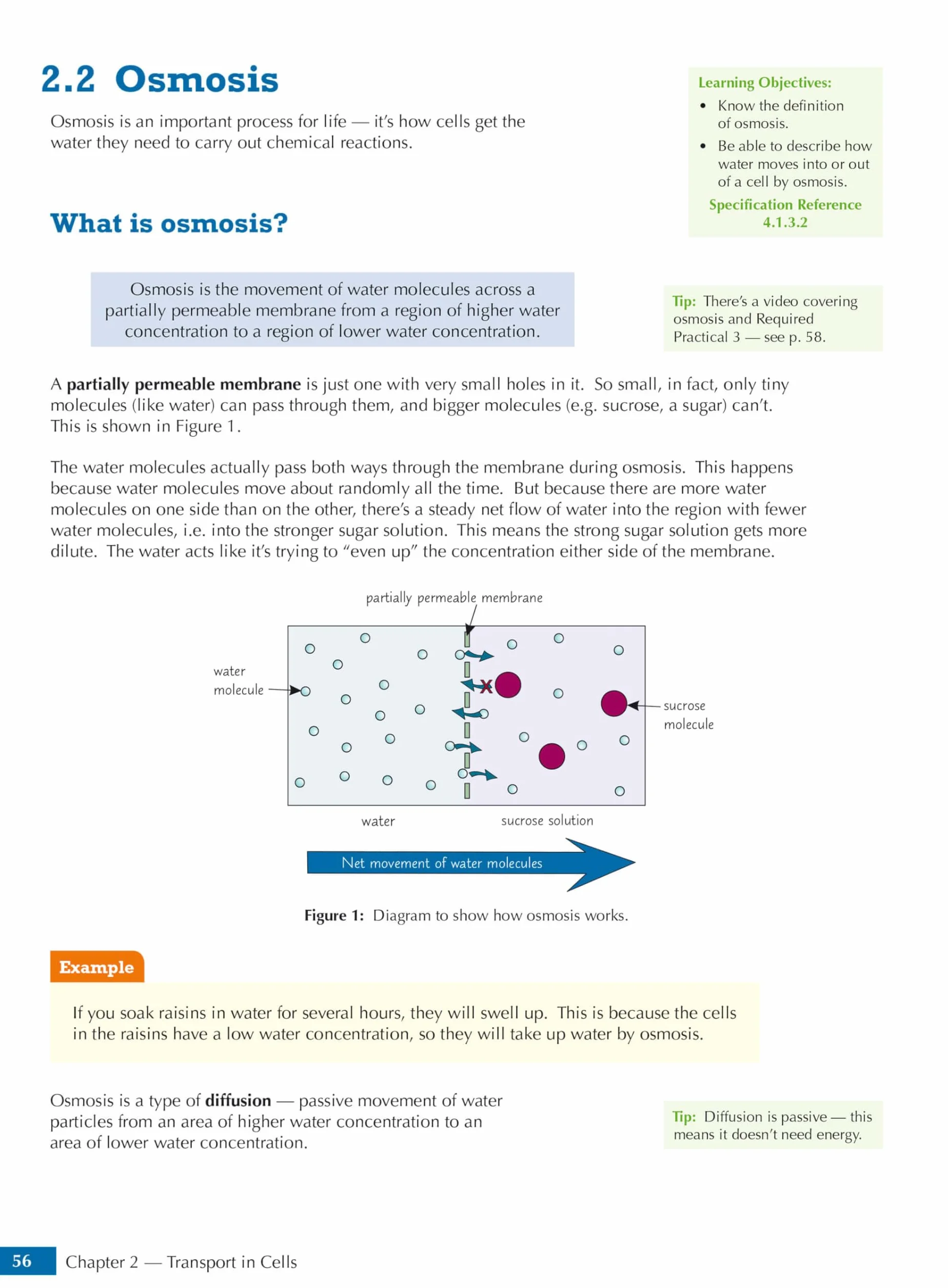 GCSE Biology AQA Student Book (includes Online Edition, Videos and Answers)