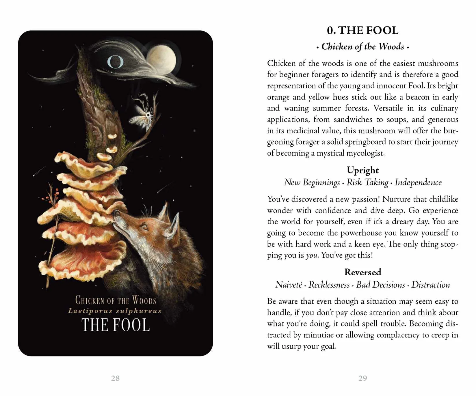 Midnight Magic: A Tarot Deck of Mushrooms