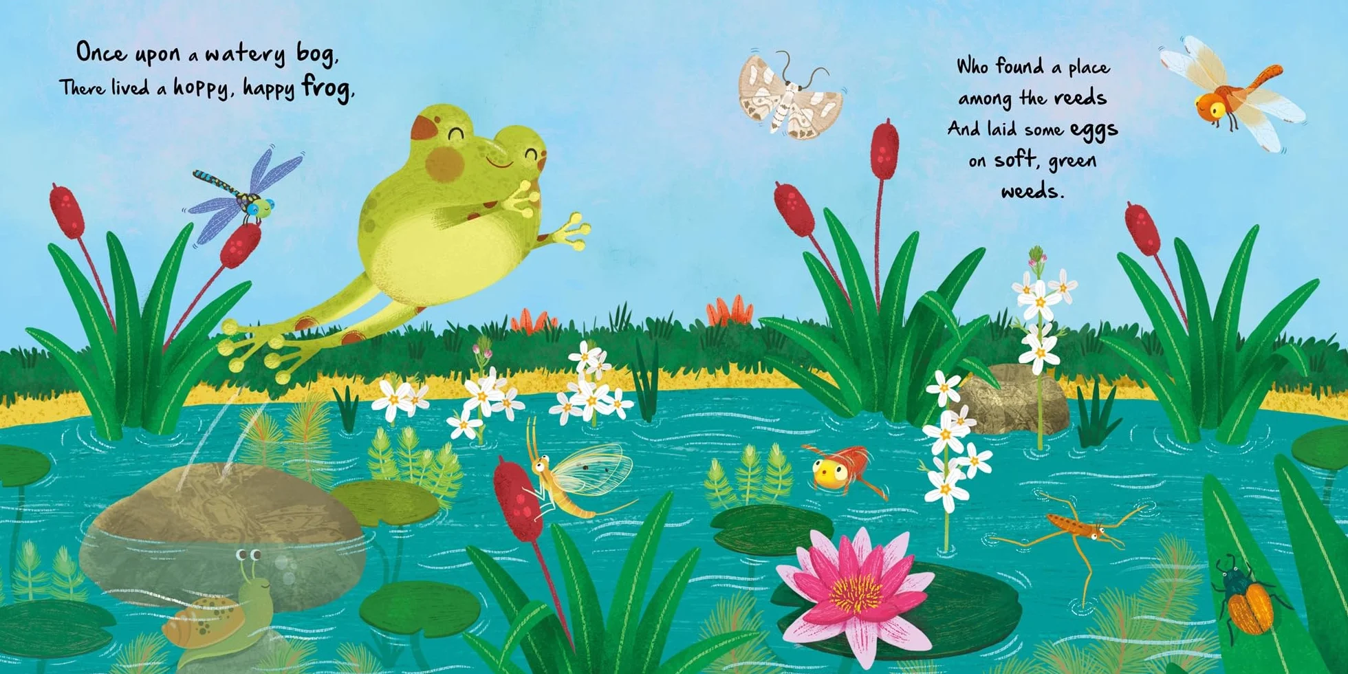 Little Frog