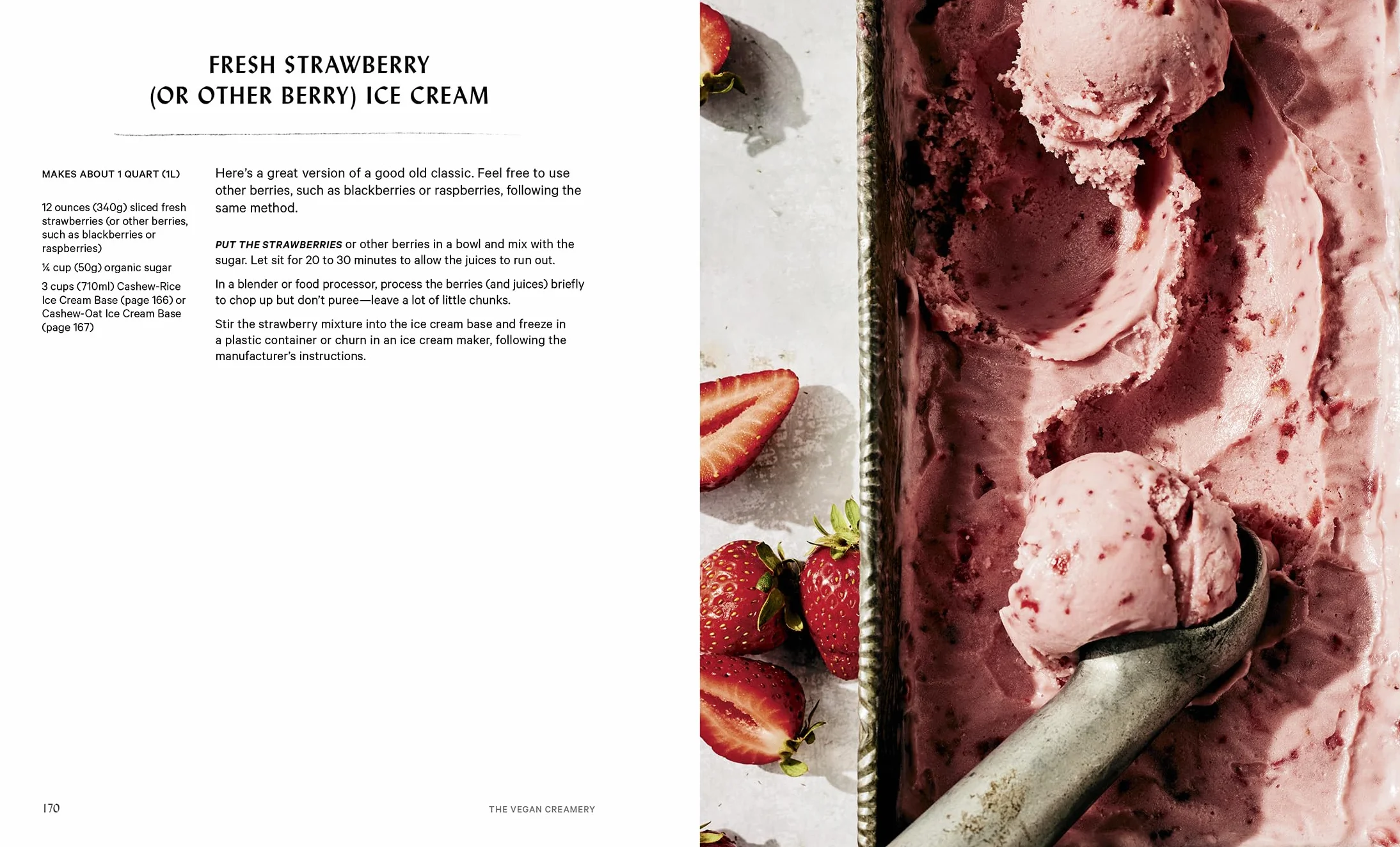 The Vegan Creamery: Plant-Based Cheese, Milk, Ice Cream, and More (a Cookbook)