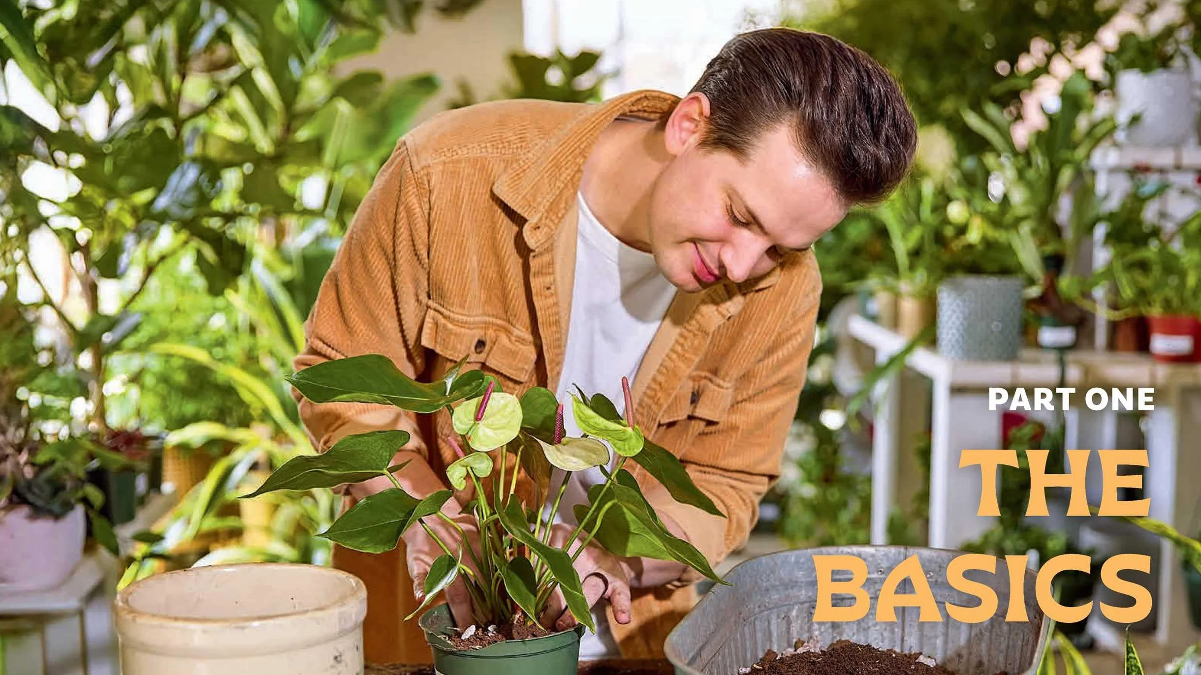 For the Love of Houseplants: Caring for & Keeping Plants with Confidence