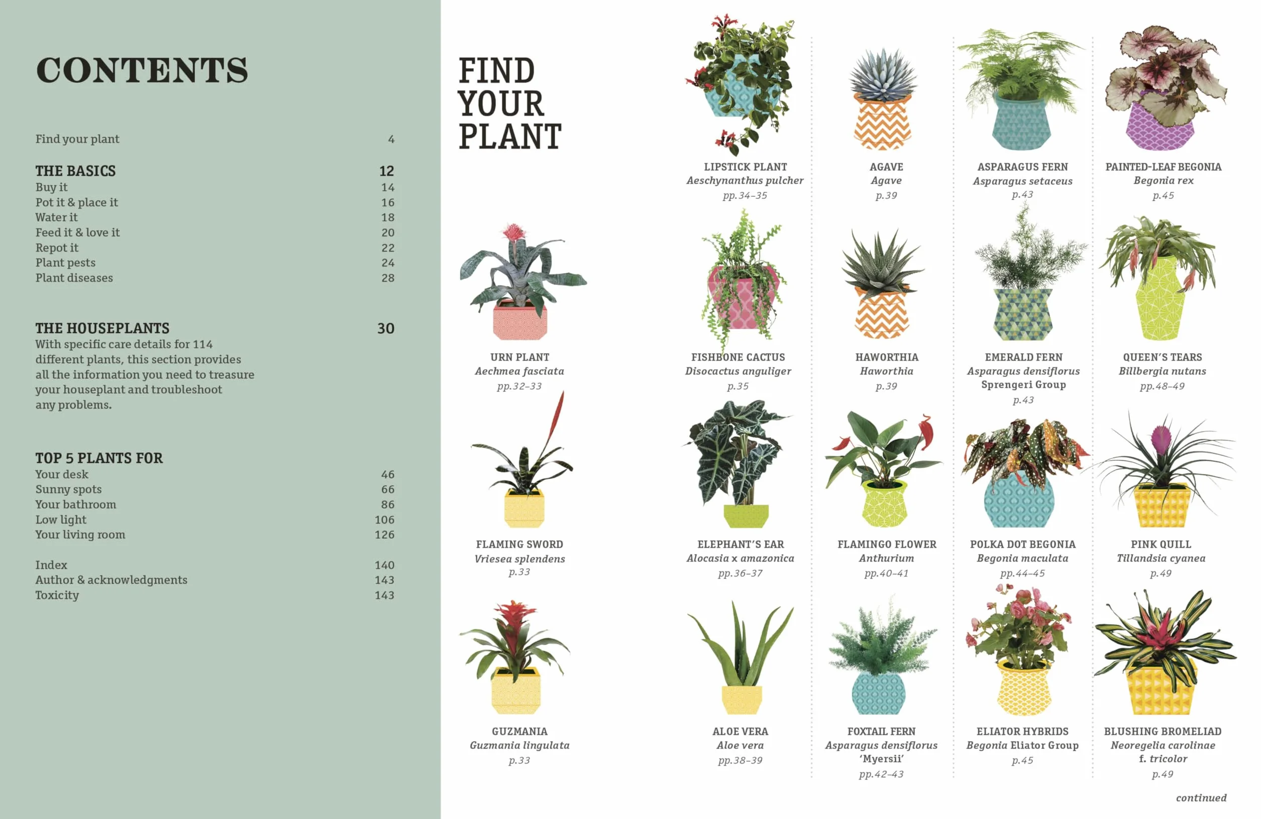 How Not to Kill Your Houseplant New Edition: Survival Tips for the Horticulturally Challenged