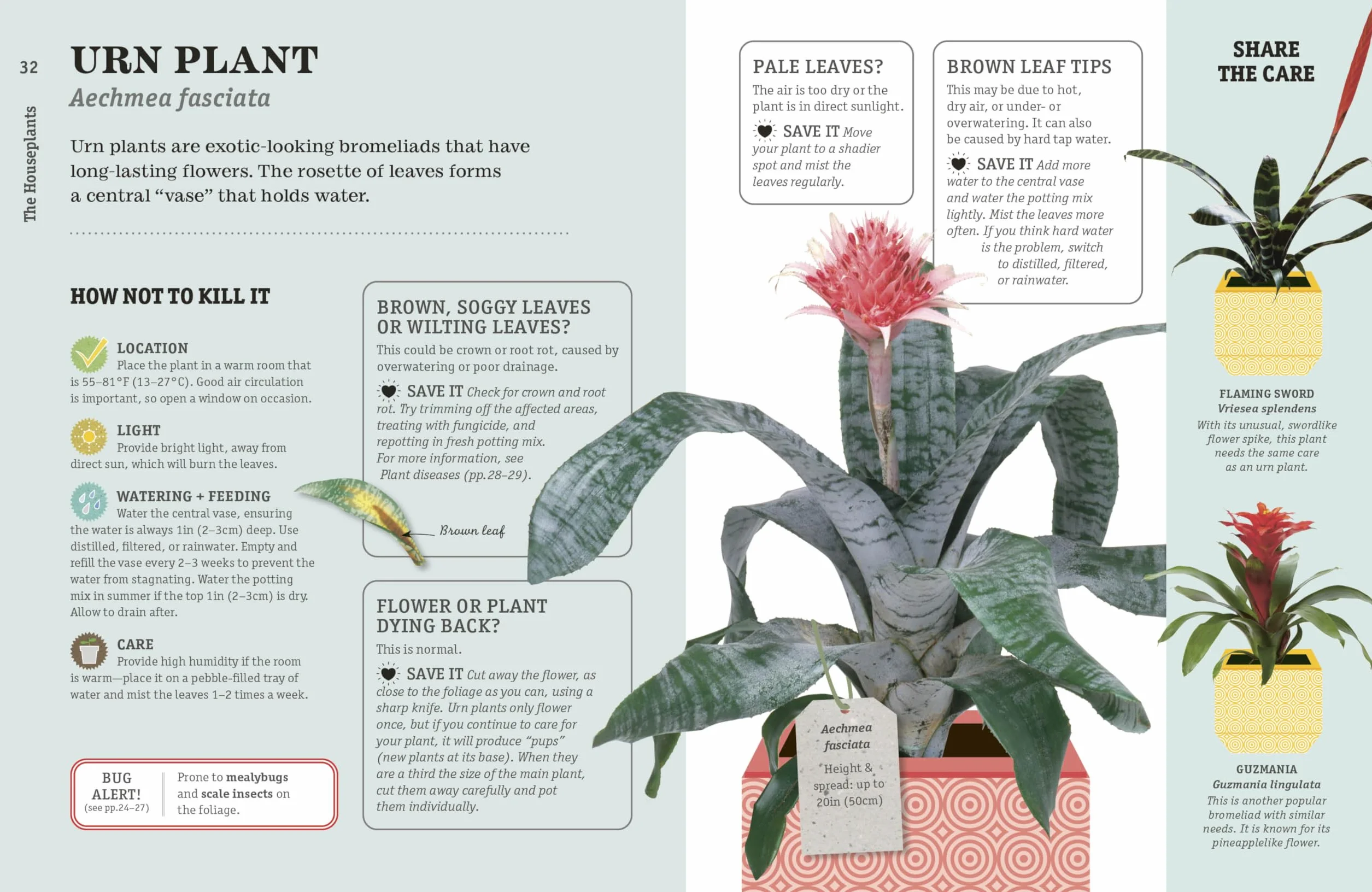 How Not to Kill Your Houseplant New Edition: Survival Tips for the Horticulturally Challenged