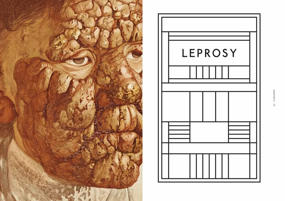 The Sick Rose Disease and the Art of Medical Illustration /anglais