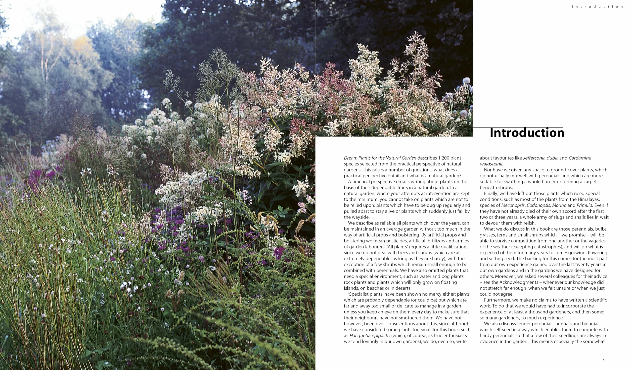 Dream Plants for the Natural Garden /anglais: Over 1,200 Beautiful and Reliable Plants for a Natural Garden