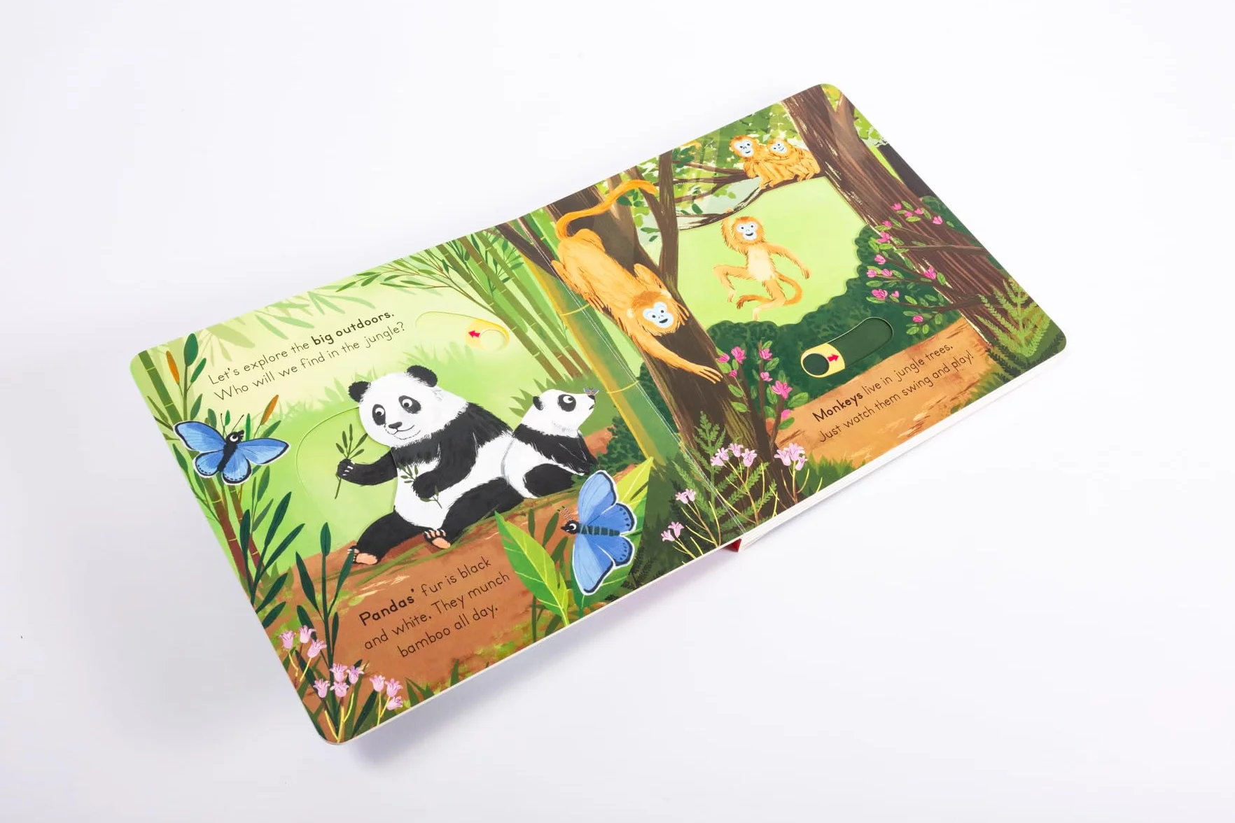 Big Outdoors for Little Explorers: Jungle