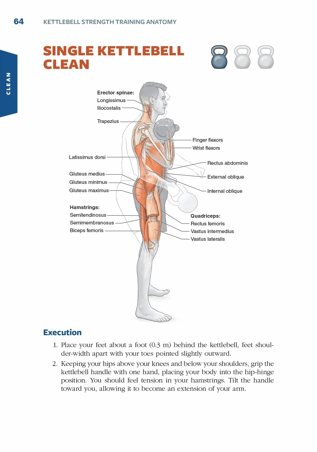 Kettlebell Strength Training Anatomy