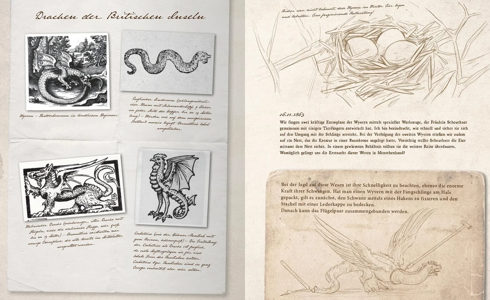 Fast verschwundene Fabelwesen. Die sagenhafte Expedition des Konstantin O. Boldt: 1
