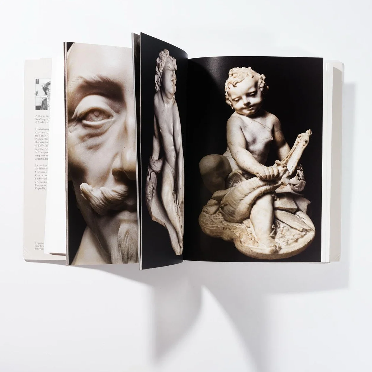 Bernini. Catalogo delle sculture. Ediz. a colori