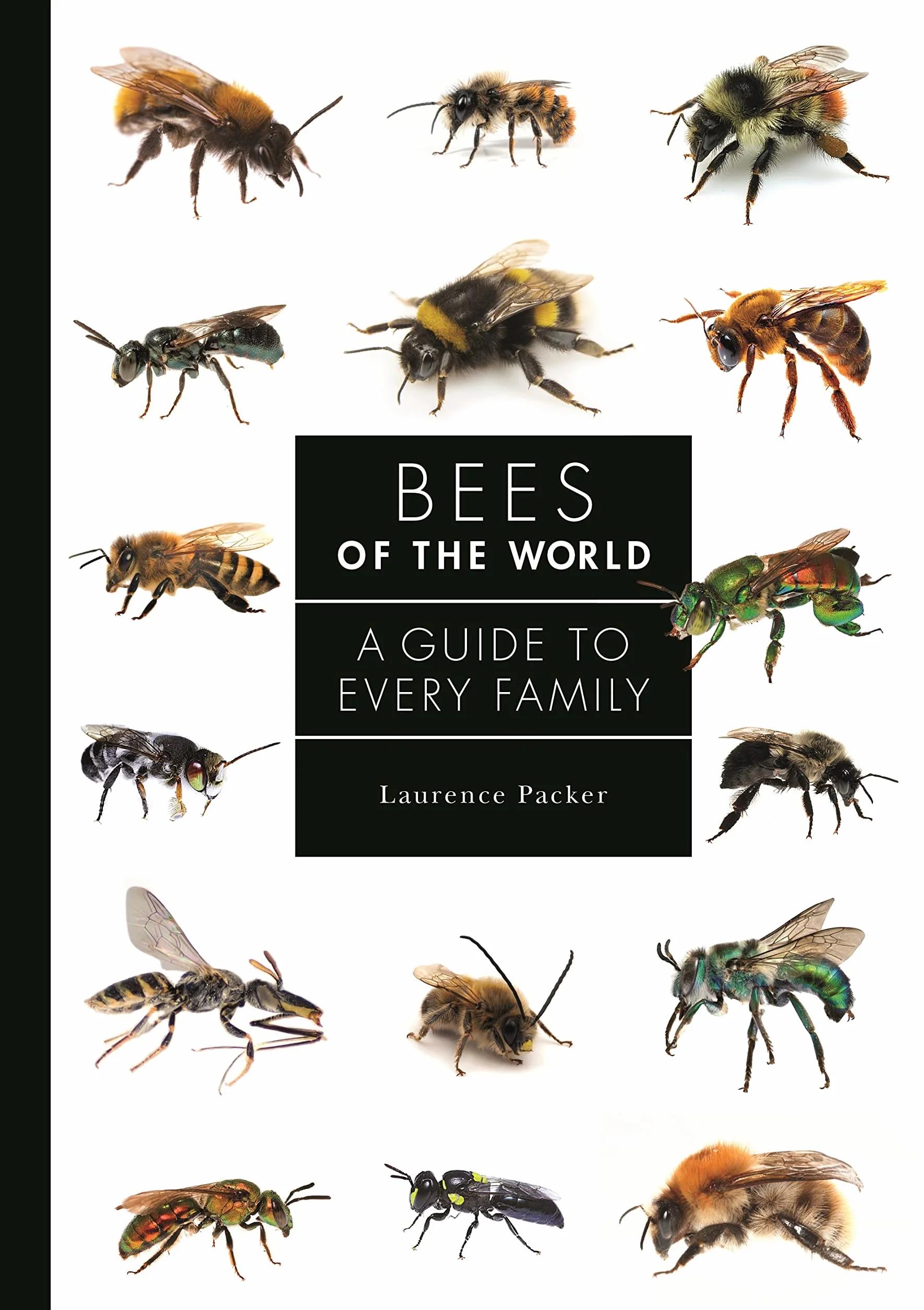Bees of the World: A Guide to Every Family: 5