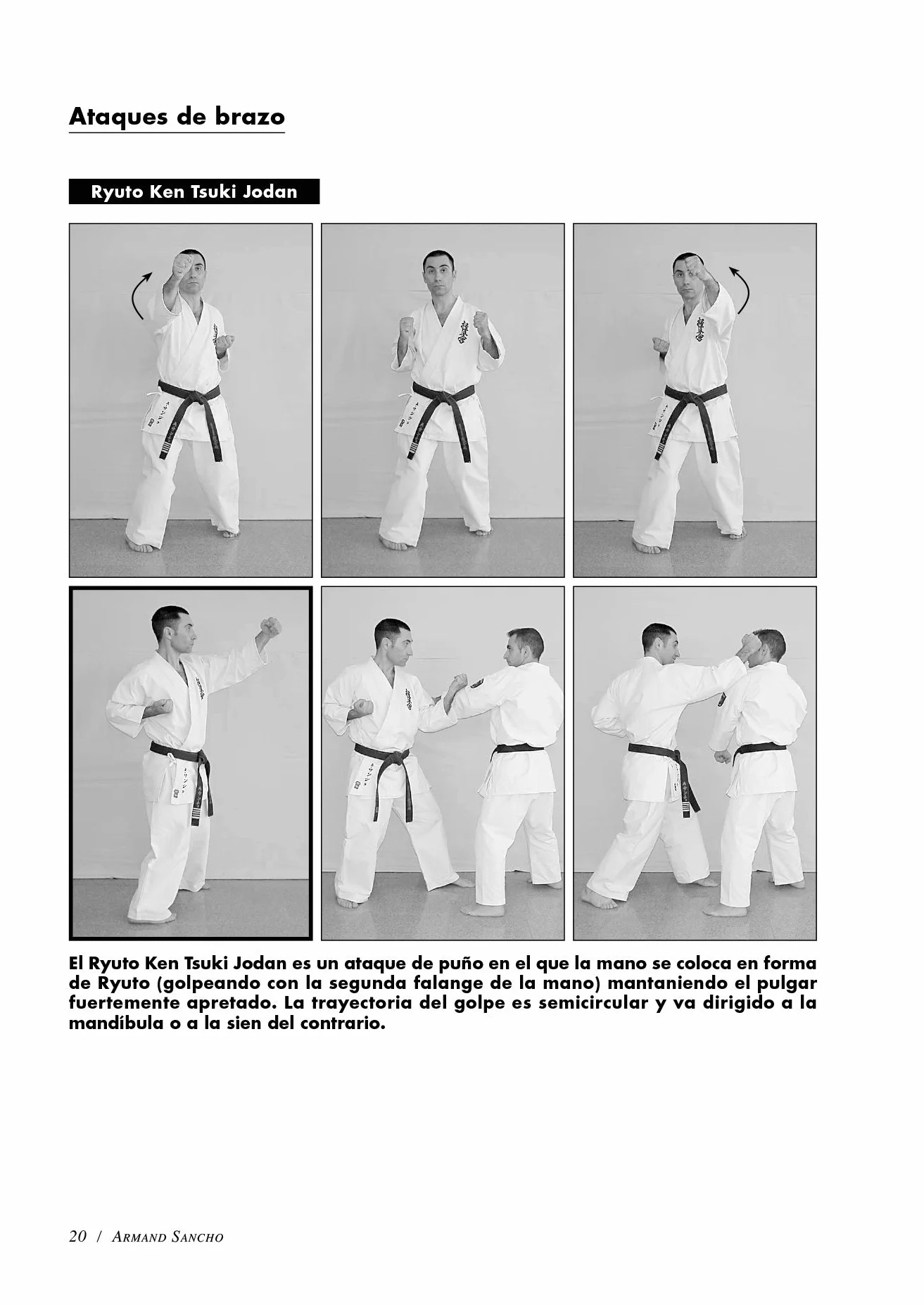 Karate do Kyokushinkai (Volumen 2º): Tecnica superior, kata, kumite y defensa personal
