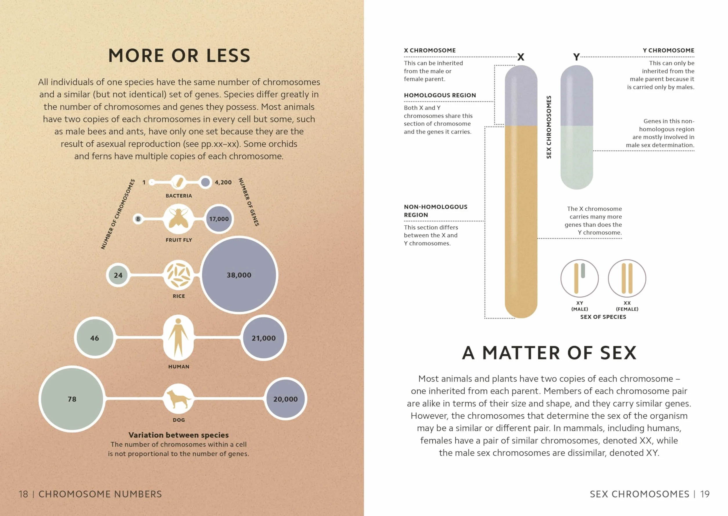 Simply Genetics: Facts Made Fast