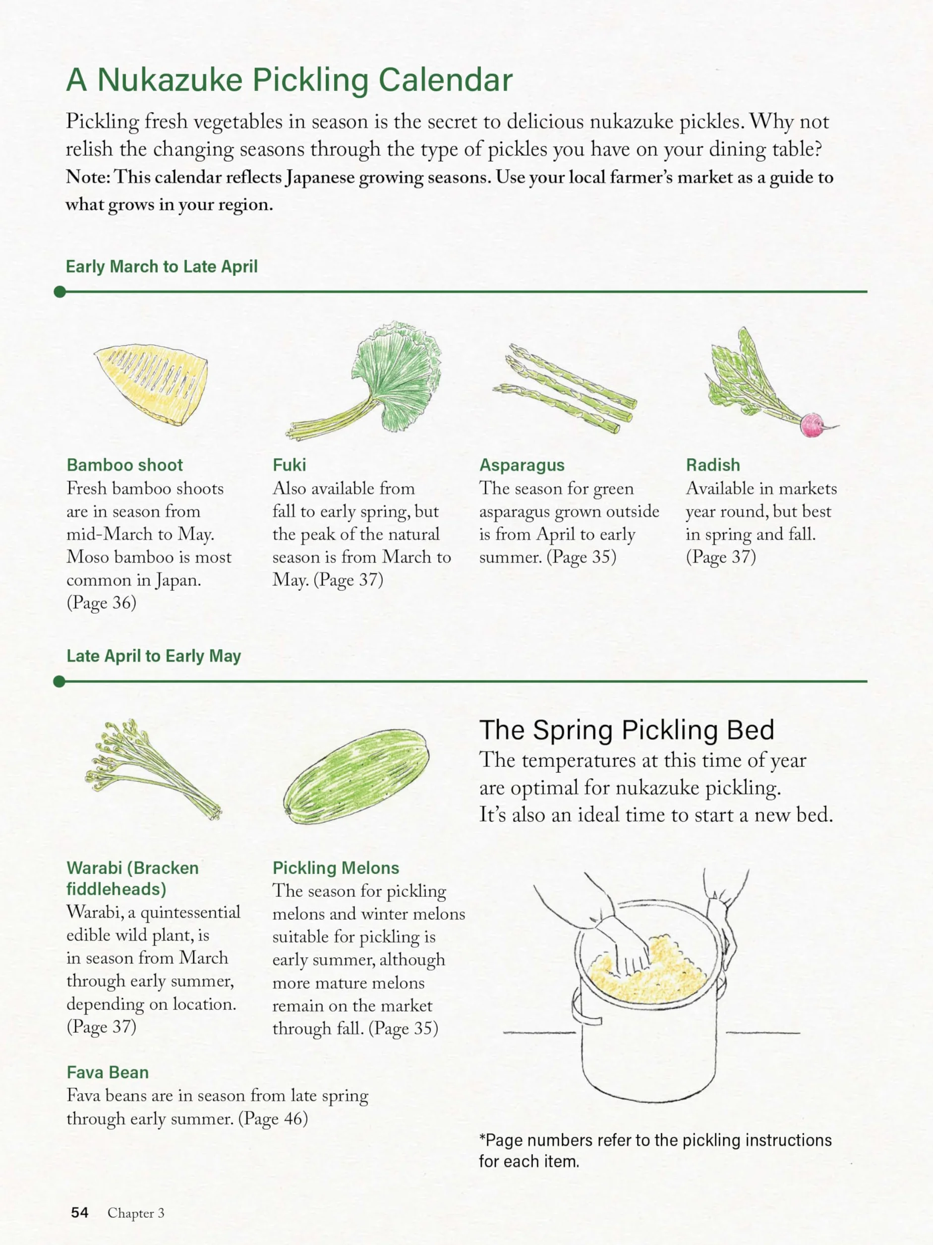 Nukazuke: The Japanese Art of Fermented Pickling