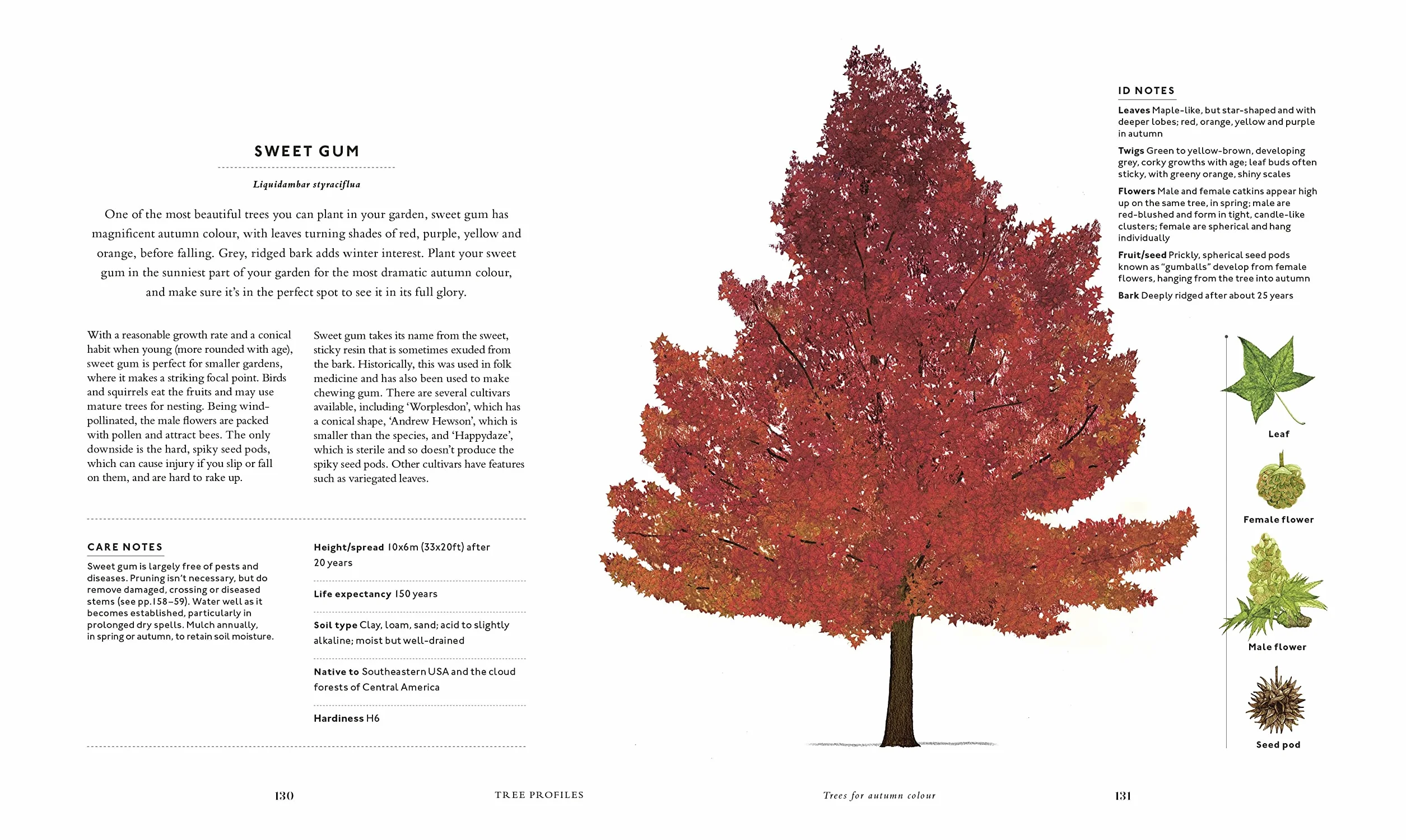 RHS The Tree in My Garden: Choose One Tree, Plant It - and Change the World
