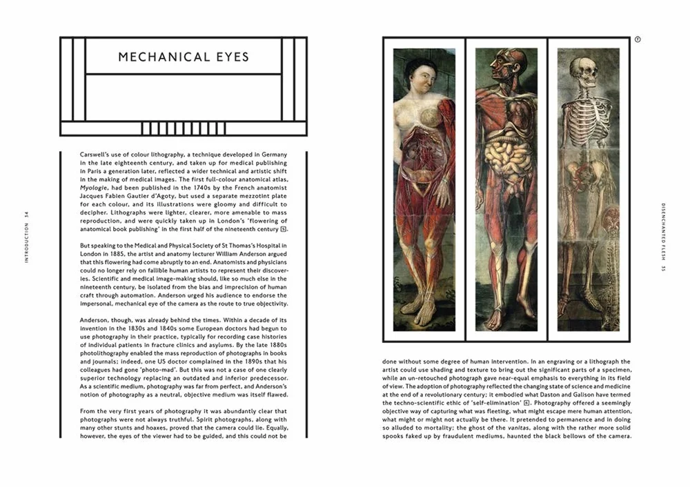 The Sick Rose Disease and the Art of Medical Illustration /anglais