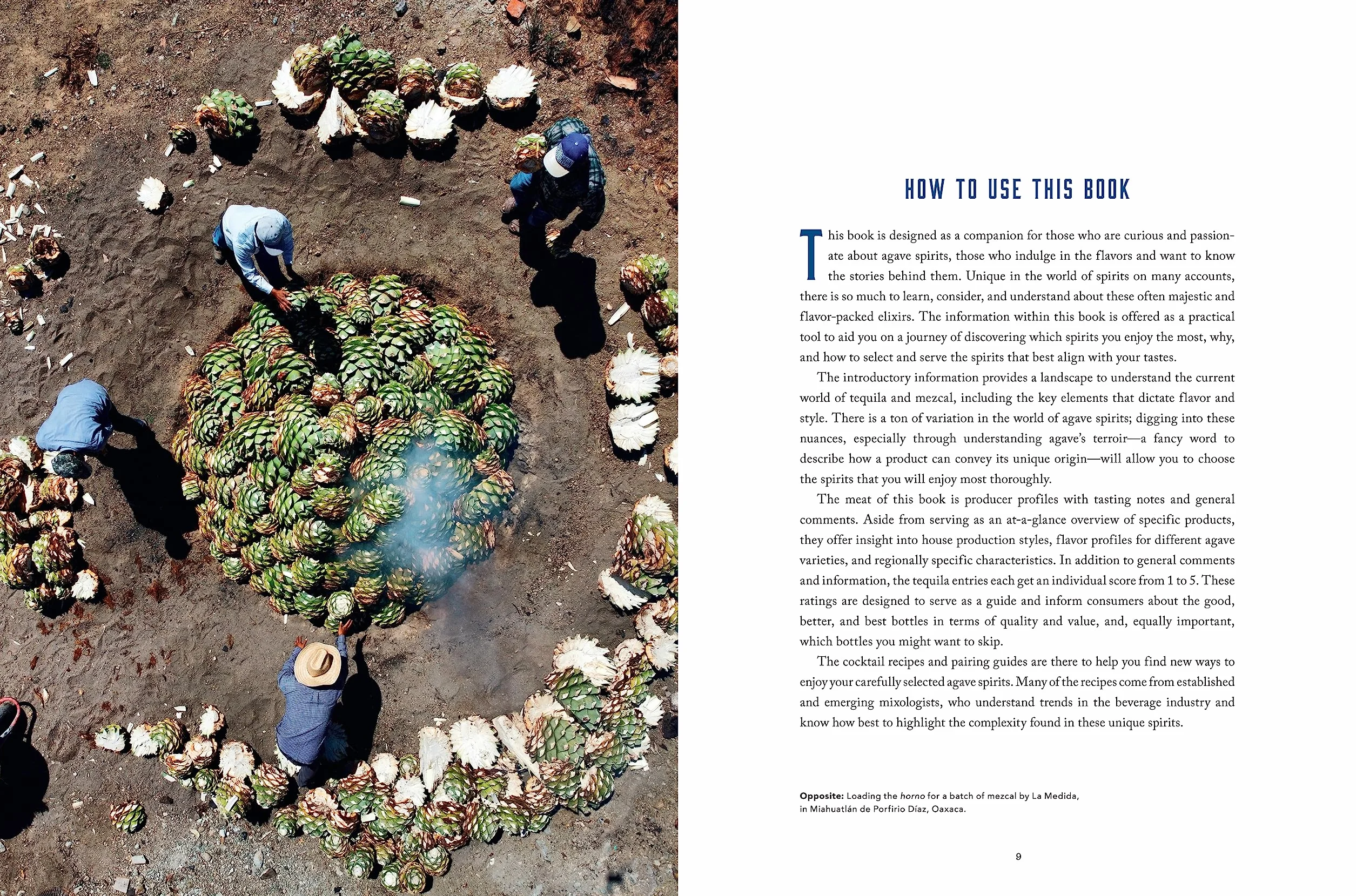 The Essential Tequila & Mezcal Companion: How to Select, Collect & Savor Agave Spirits - A Cocktail Book