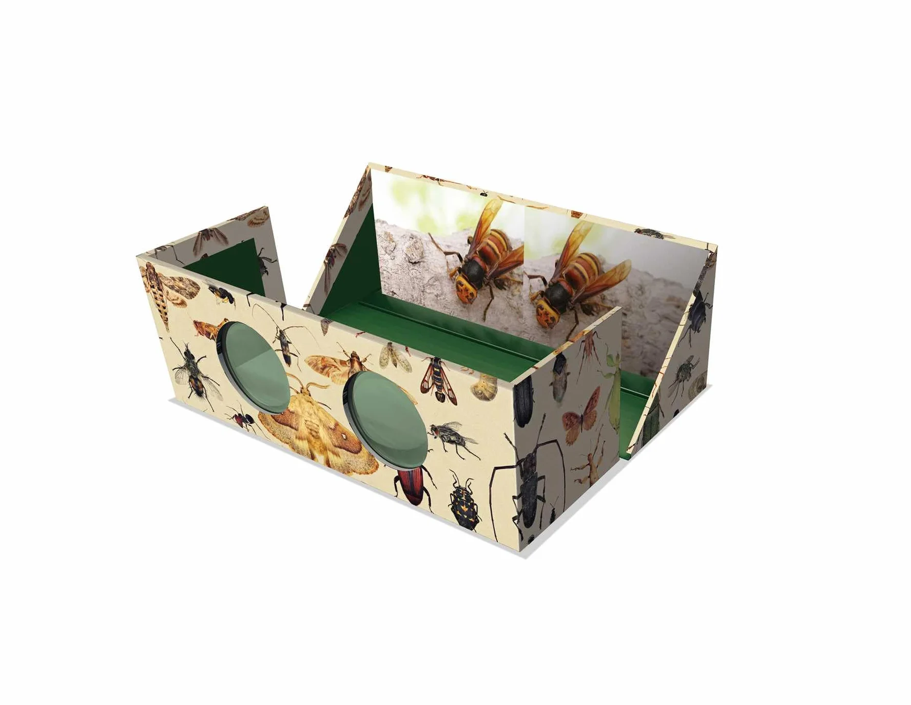 The Magnificent Box of Bugs and Insects