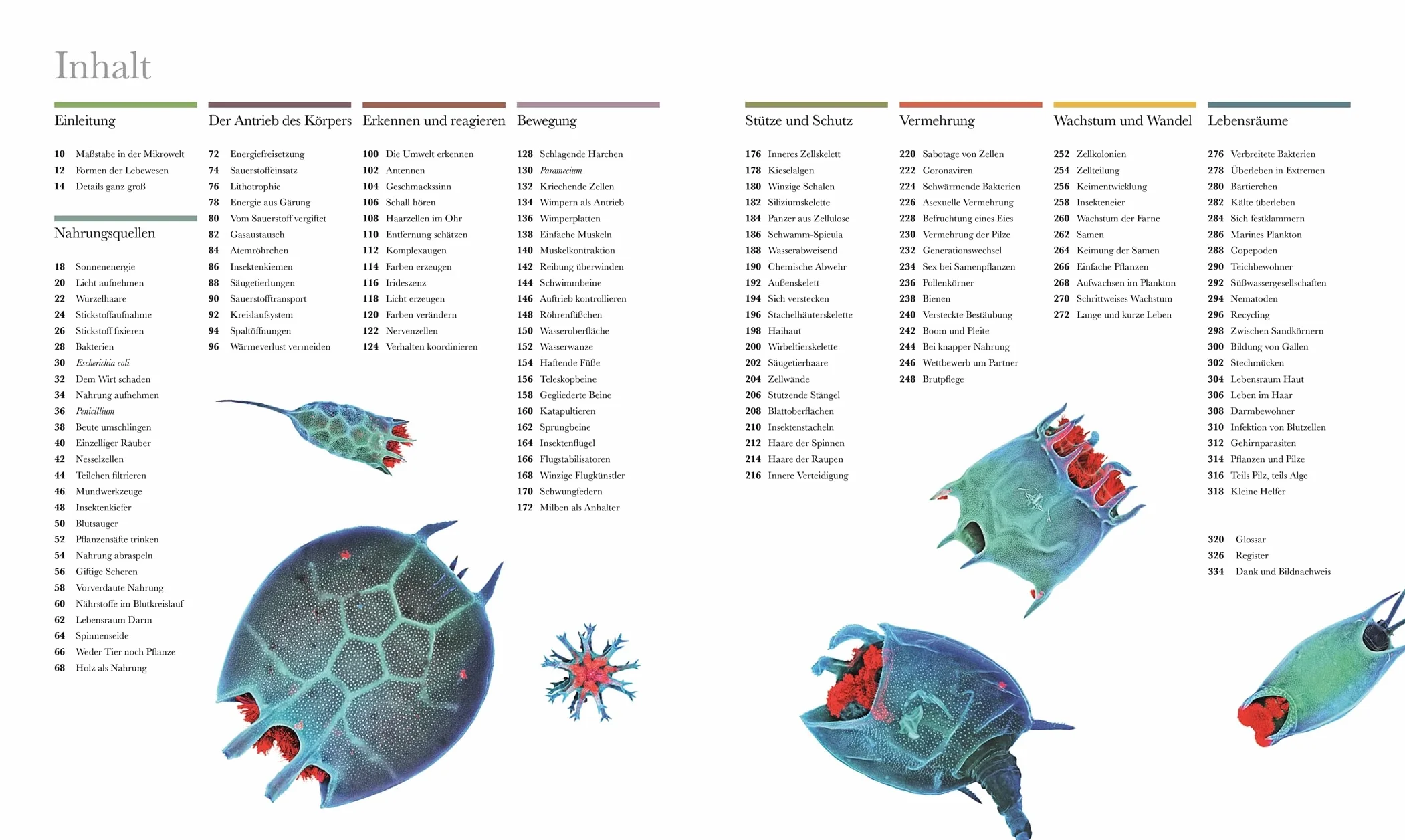 Mikrokosmos - Wunderwelt der kleinsten Lebewesen: Mikroskopbilder und atemberaubende Makrofotografien illustrieren die unsichtbare Welt unseres Mikrokosmos