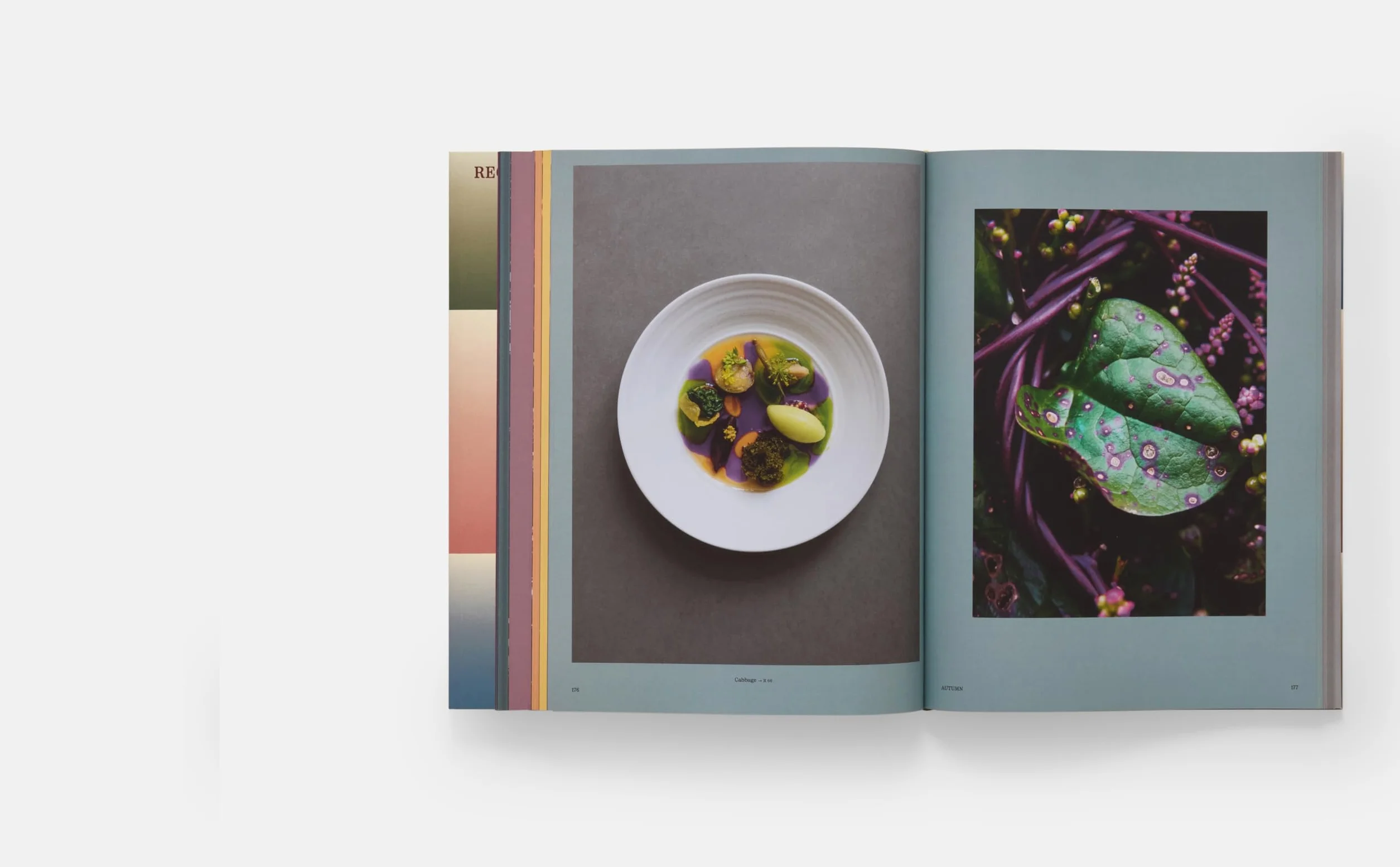 Beyond Peaks: The cuisine of Schloss Schauensteins