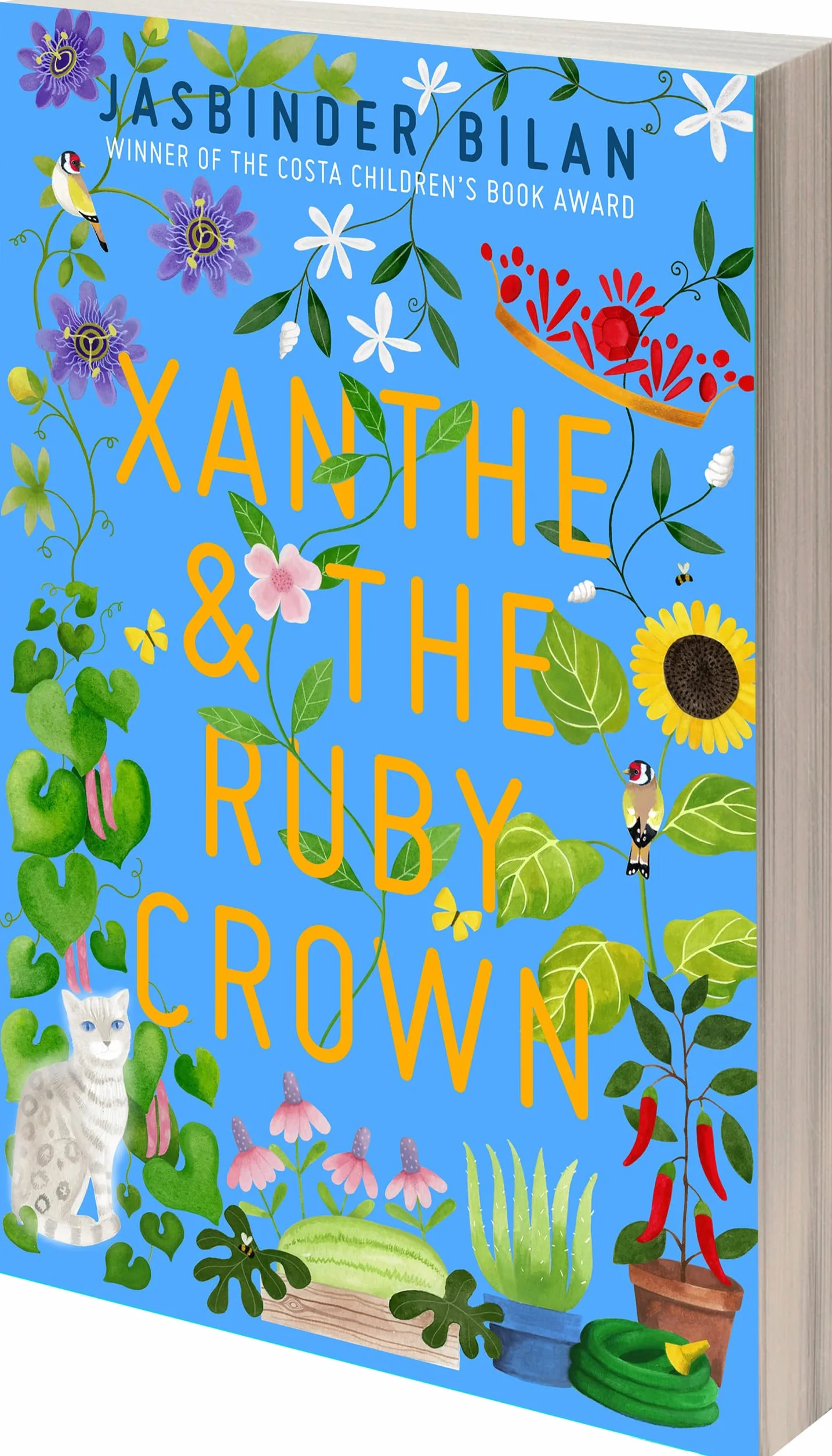 Xanthe & the Ruby Crown