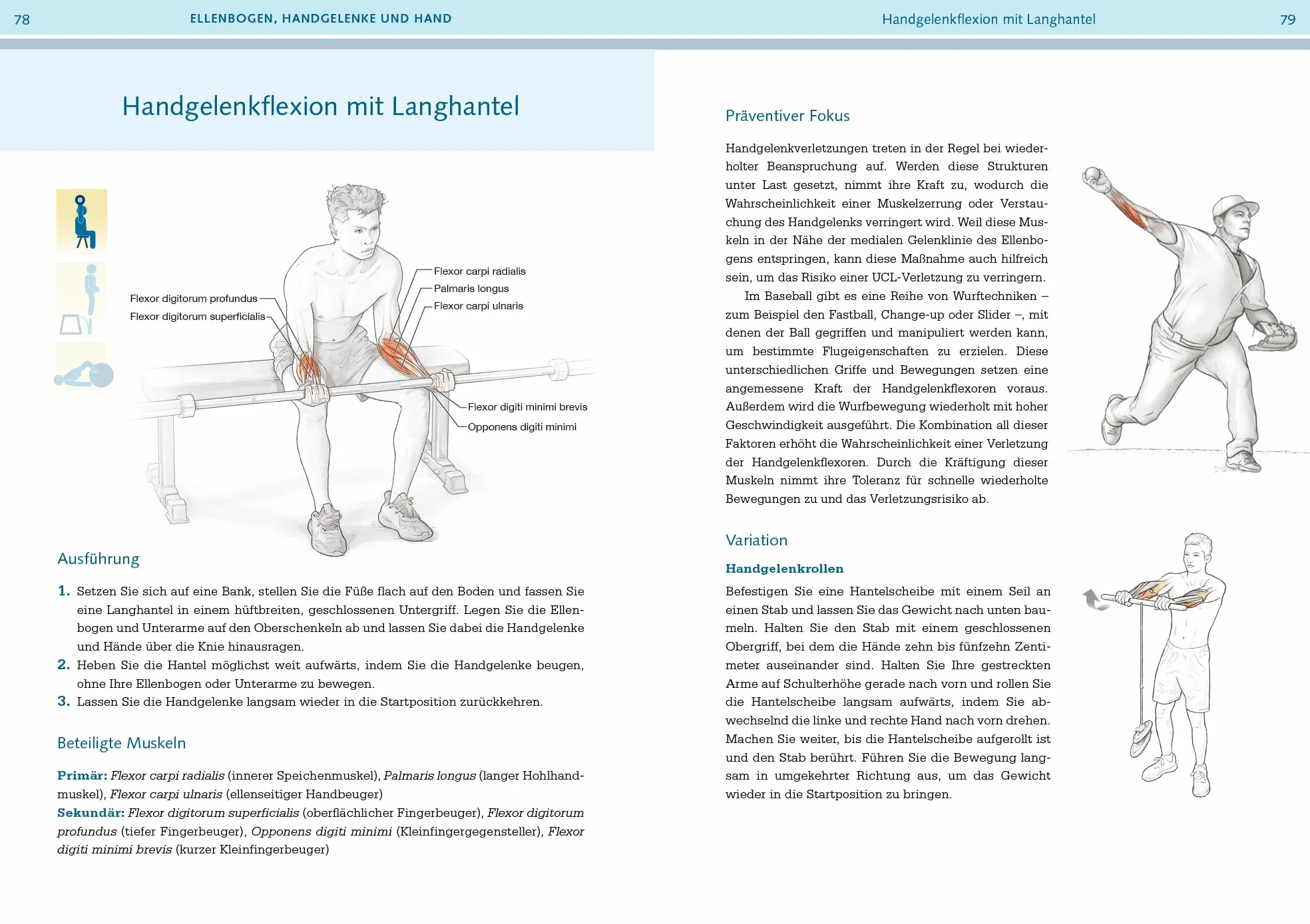 Prävention von Sportverletzungen - Anatomie: Ihr illustrierter Begleiter, um belastbarer zu werden und beschwerdefrei zu trainieren: 6