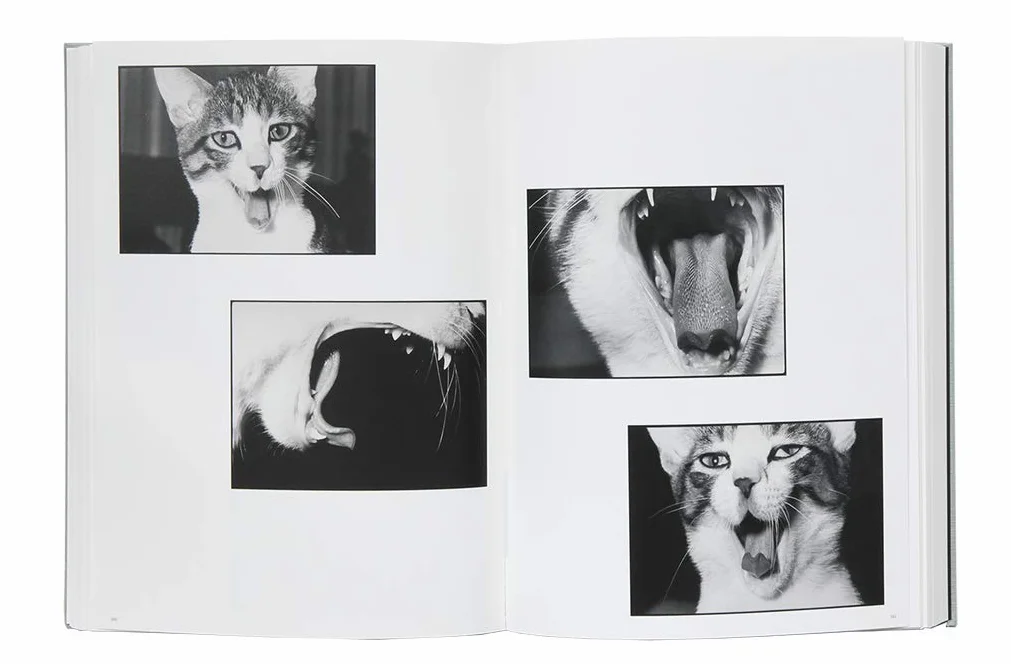 Masahisa Fukase -anglais-