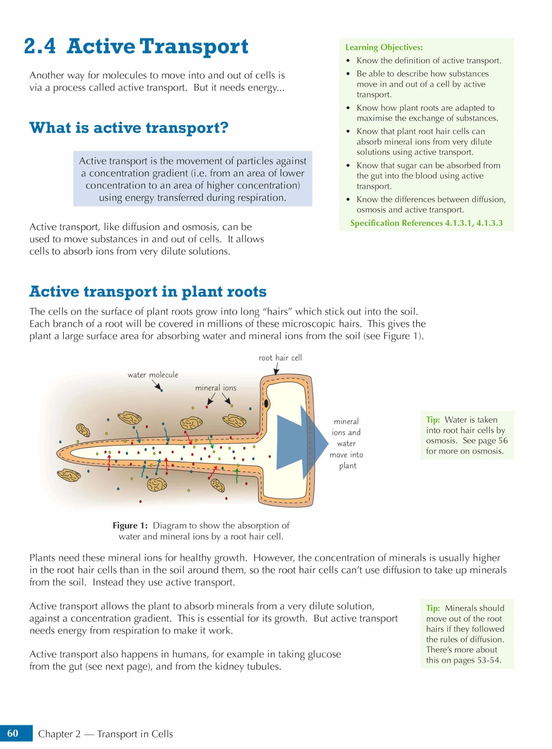 GCSE Biology AQA Student Book (includes Online Edition, Videos and Answers)