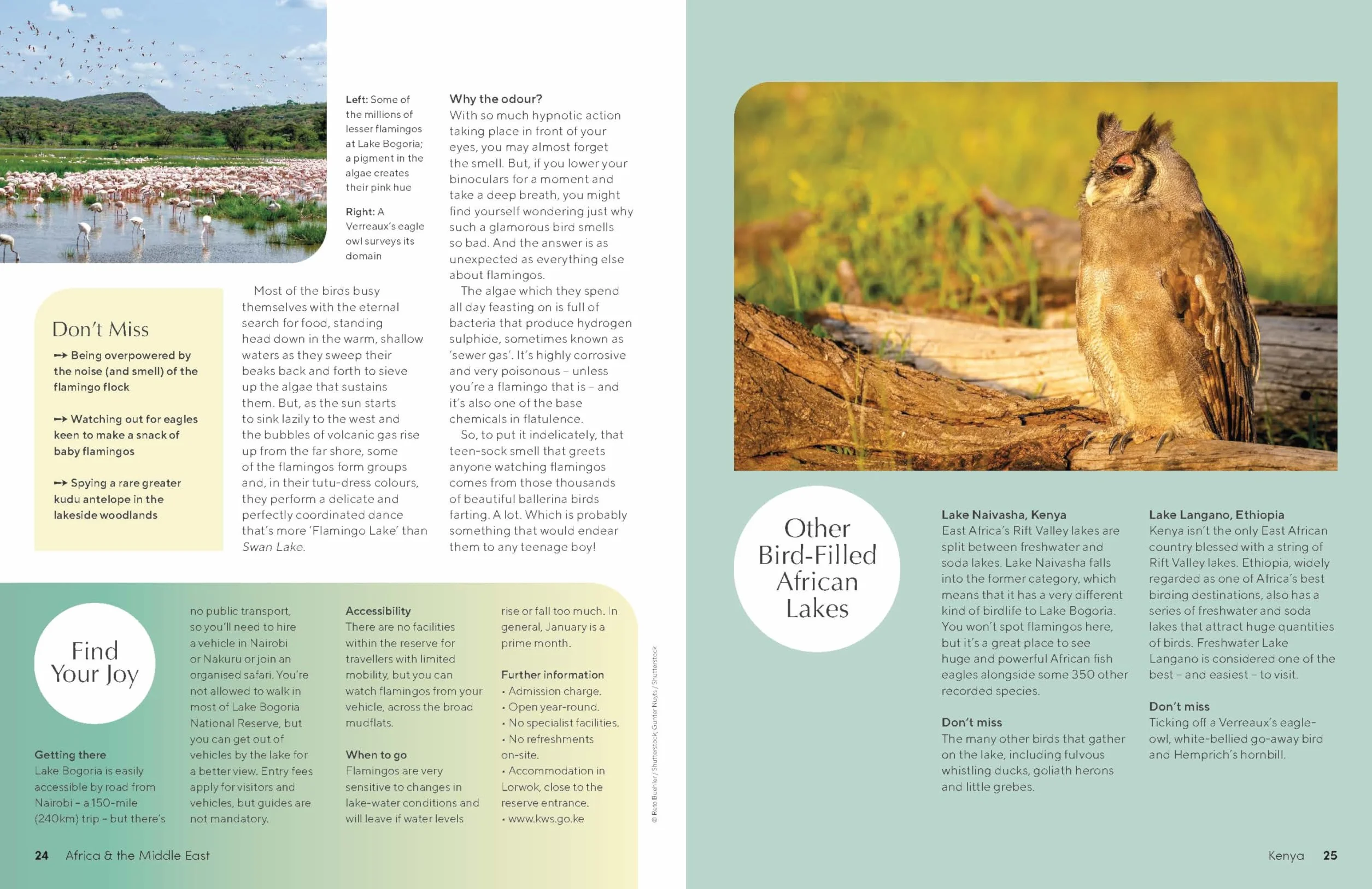 The Joy of Birdwatching - anglais: The World's Most Joyous Birding Adventures | Connect with Nature & Meet Remarkable Creatures | Packed with Tips on Where & When to Go