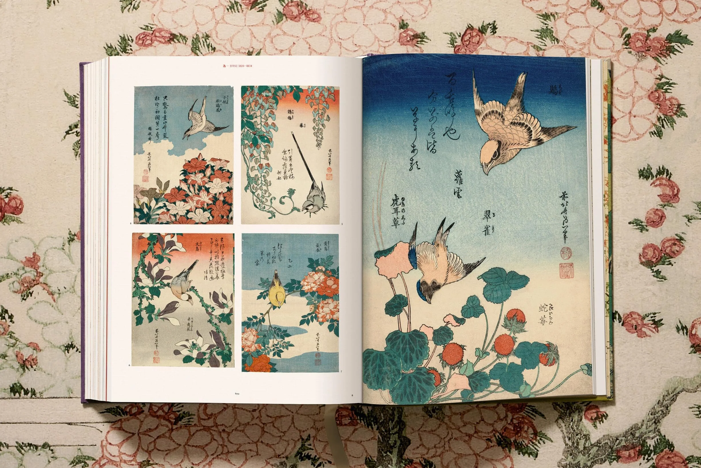 The (almost) complete Hokusai