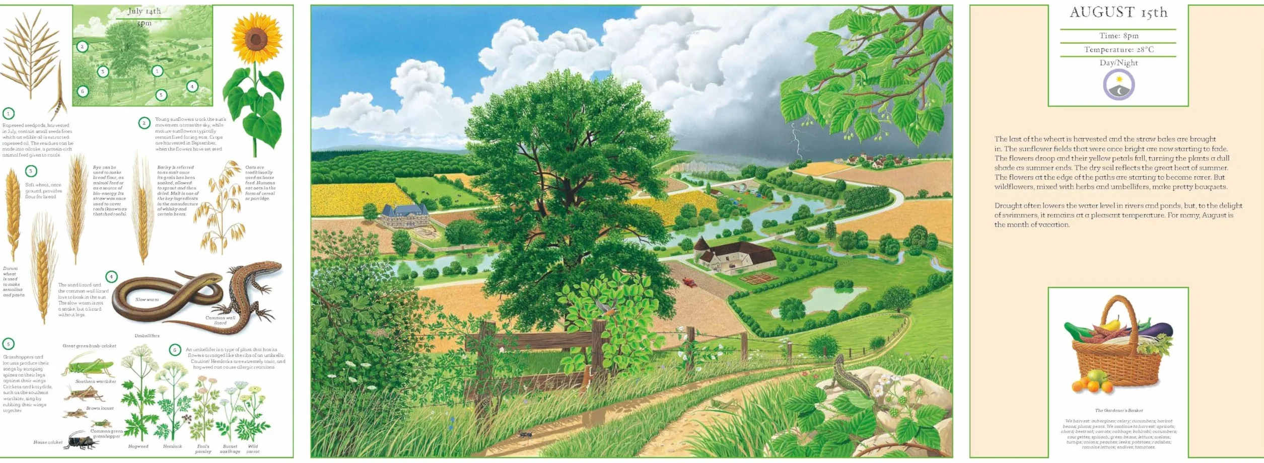 A Year in Nature: Explore the Countryside, Month by Month