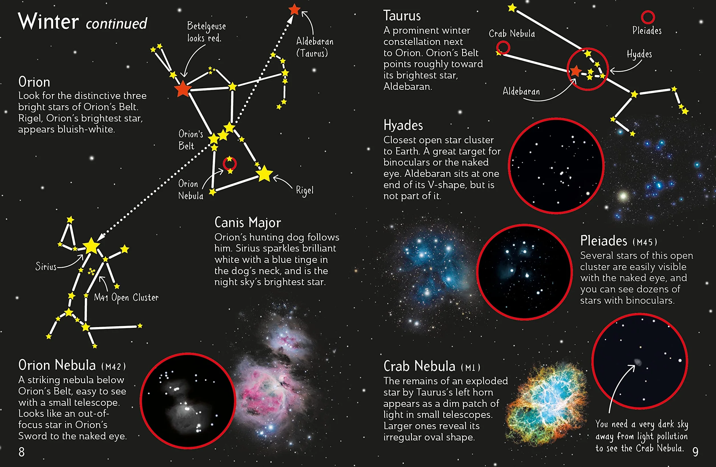 Night Sky Things to Spot