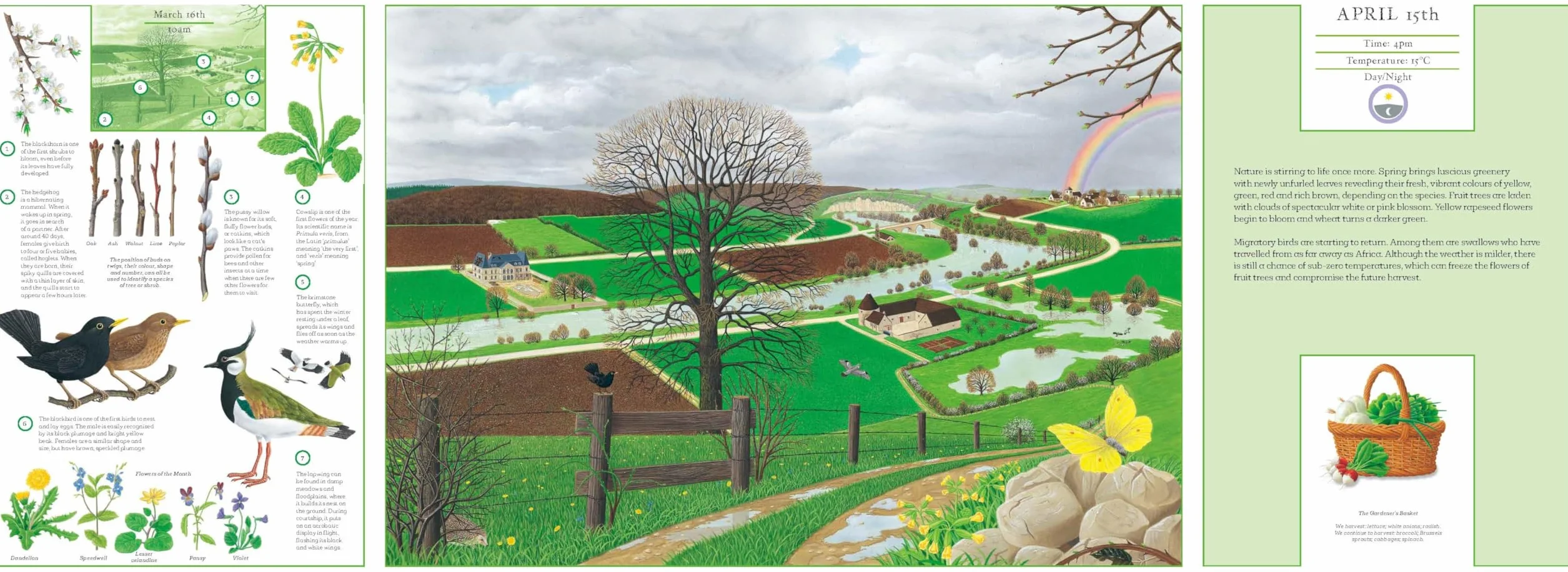A Year in Nature: Explore the Countryside, Month by Month