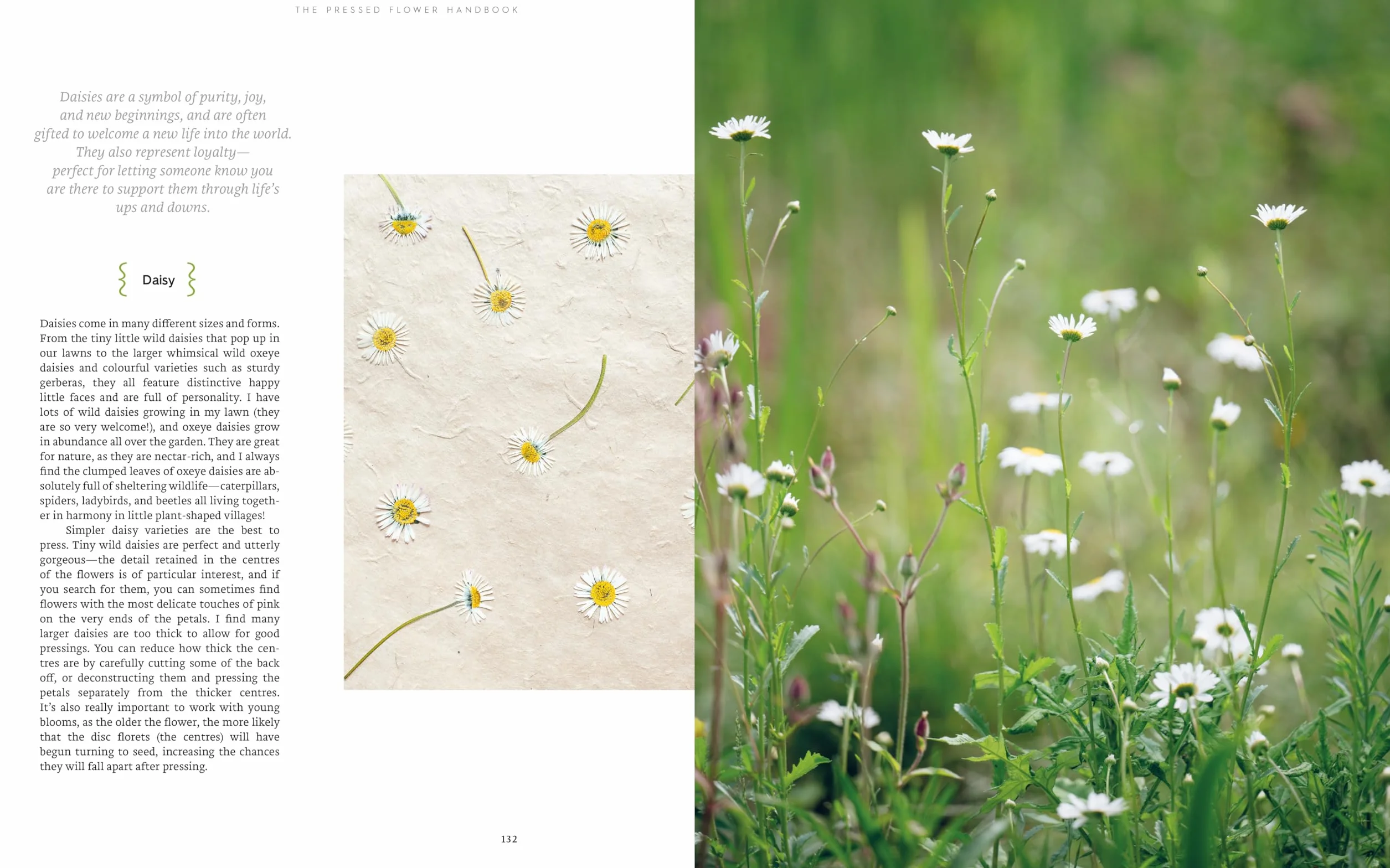 The Pressed Flower Handbook: Simple Methods for Connecting with Nature and Preserving the Beauty of the Garden Through the Seasons - Grow, Gather, Press, Create