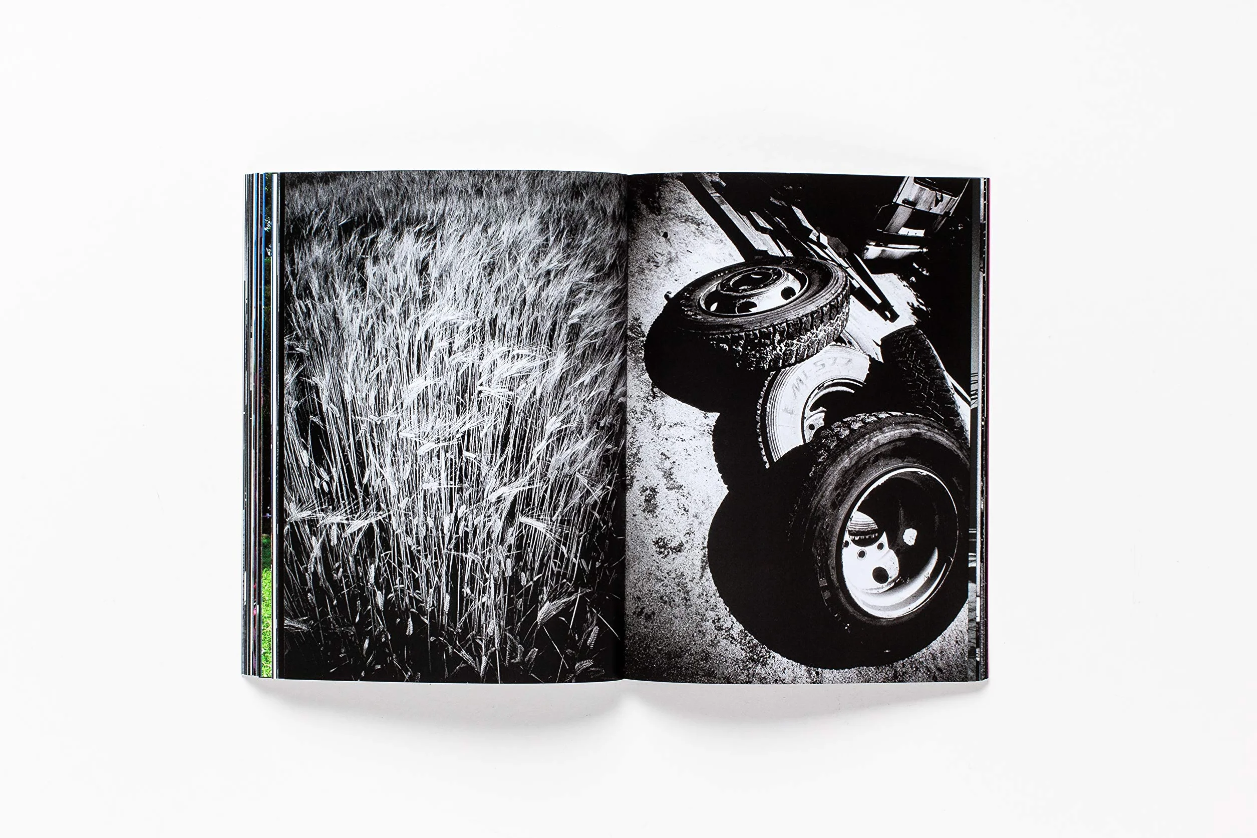 Daido Moriyama: How I Take Photographs