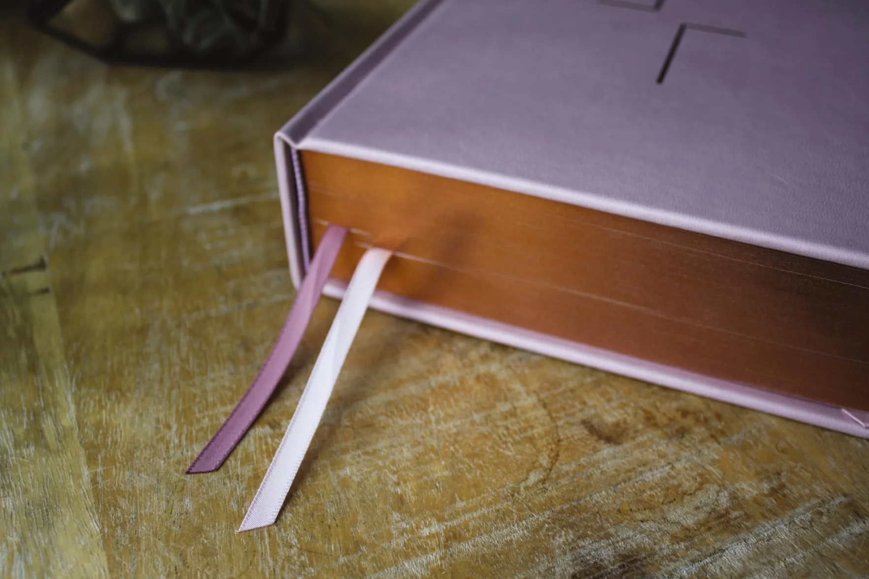 The Jesus Bible, ESV Edition, Leathersoft Over Board, Pink: Sixty-Six Books. One Story. All About One Name.