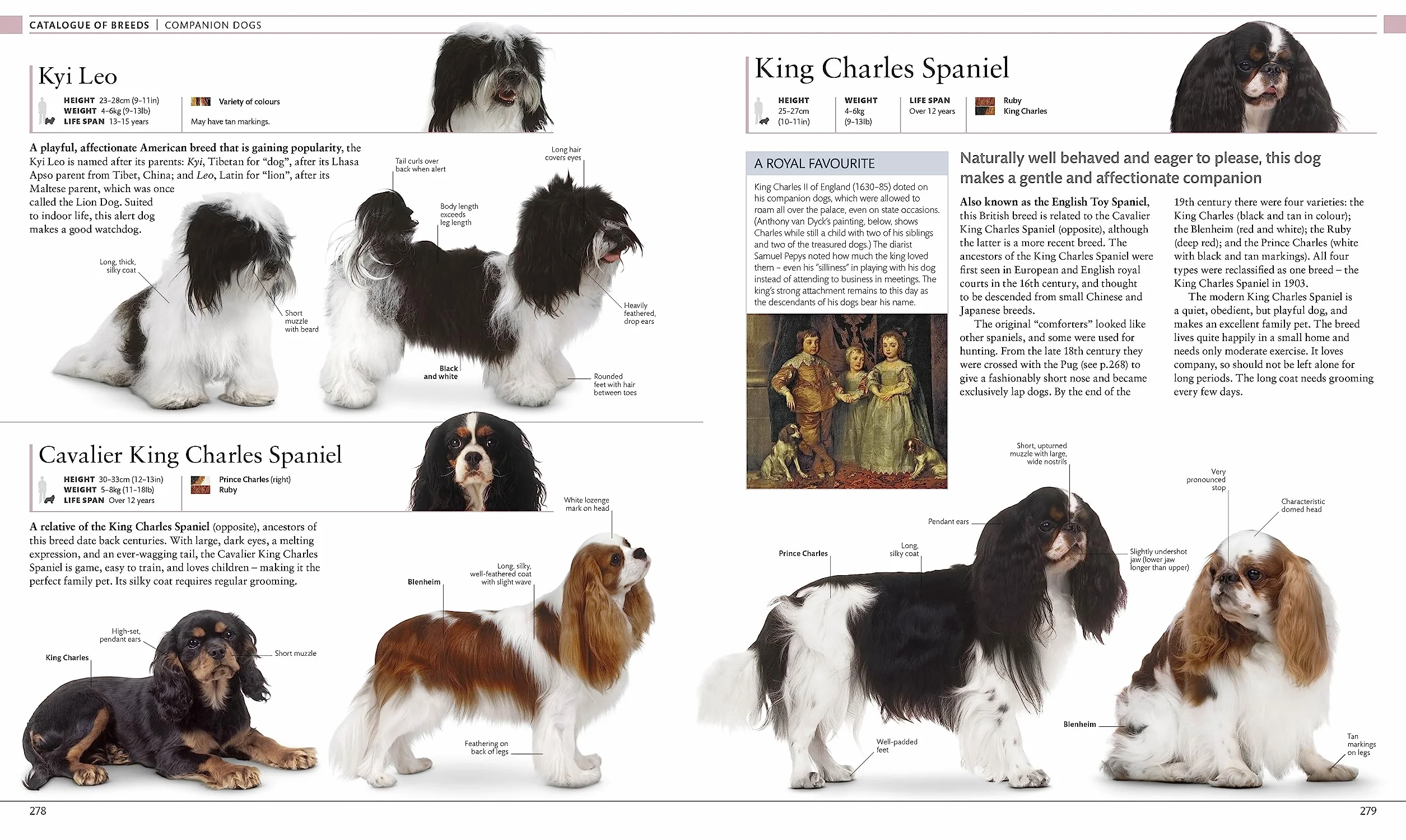 The Dog Encyclopedia: The Definitive Visual Guide