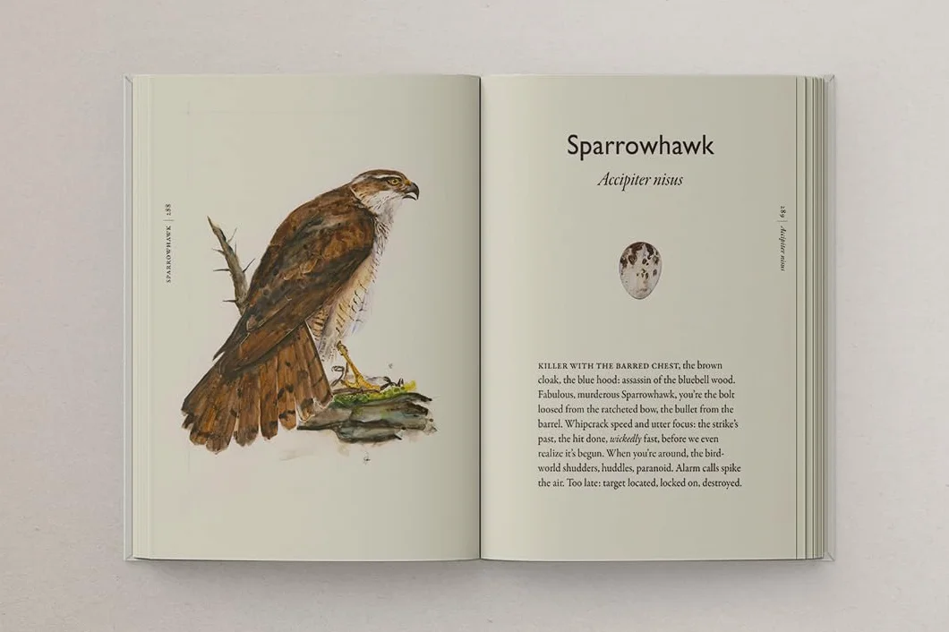 The Book of Birds: The #1 Sunday Times bestseller from the authors of award-winning phenomenon The Lost Words