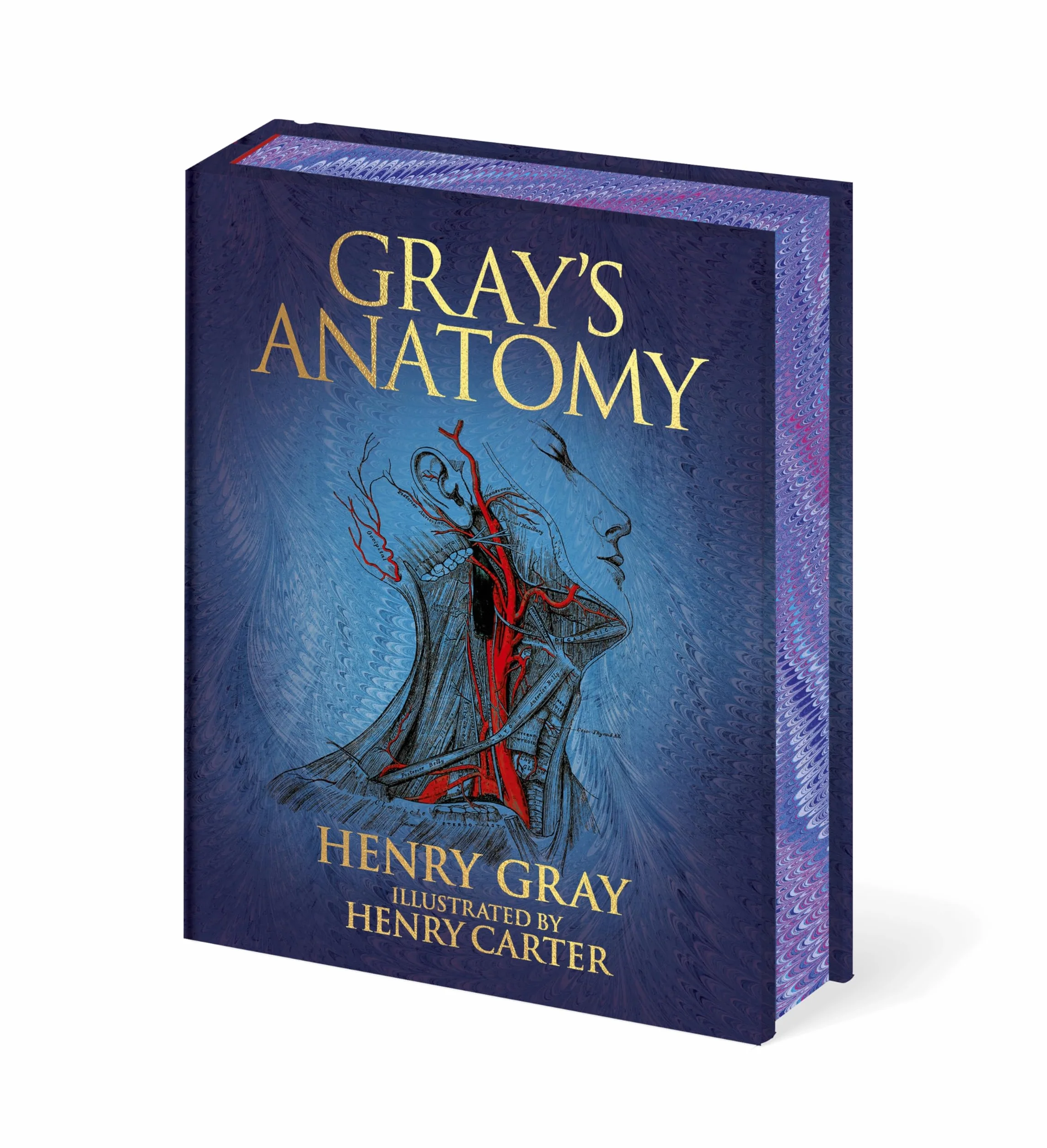 Gray's Anatomy