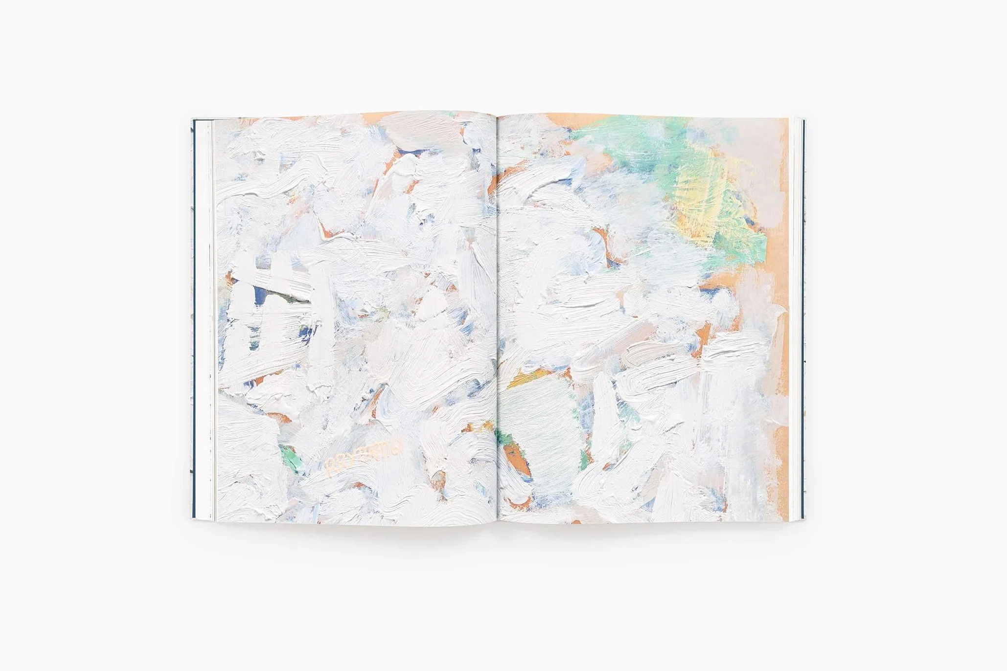 Robert Ryman Early and Late /anglais