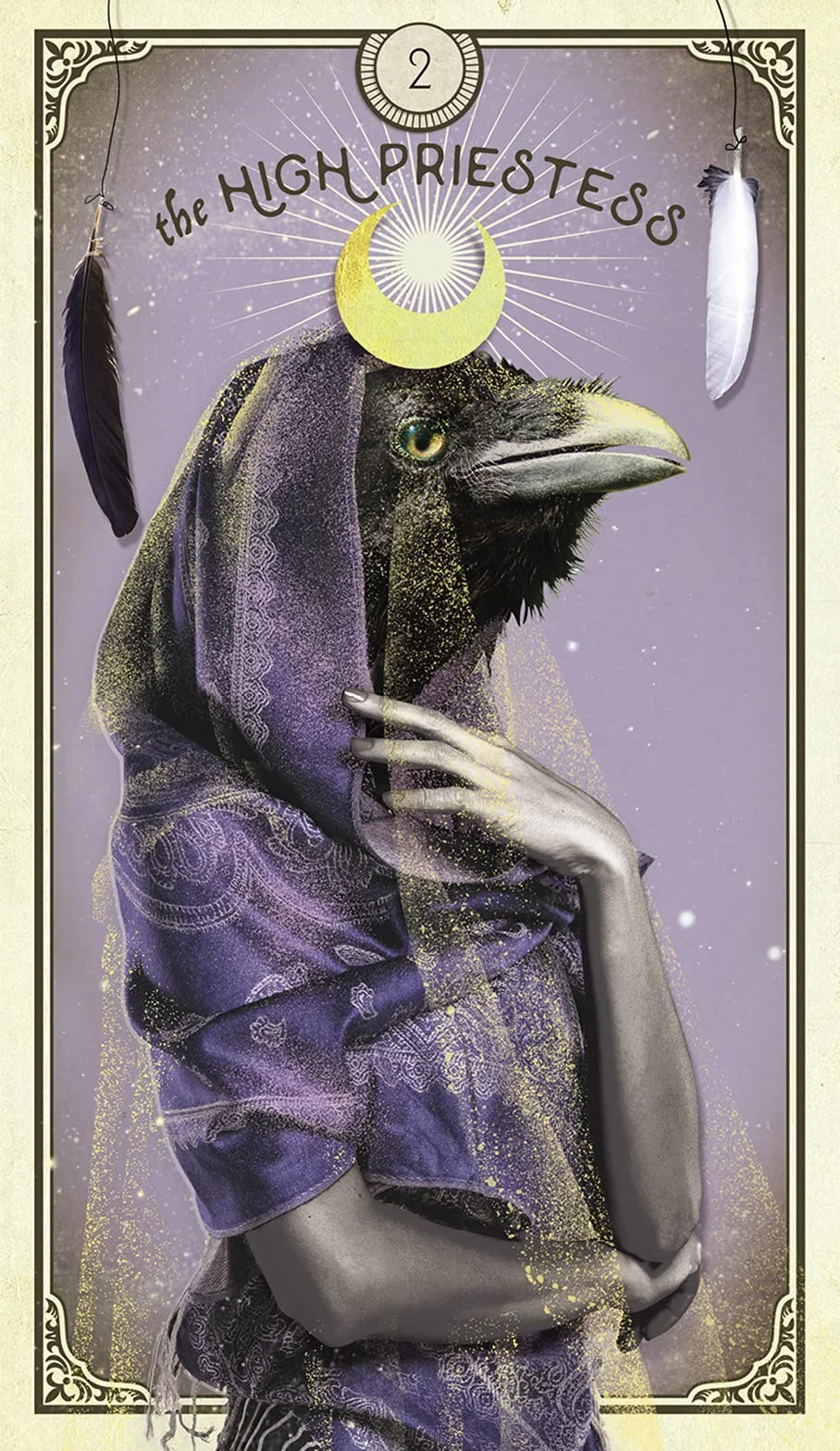 The Tarot of Curious Creatures: A 78 (+1) Card Deck and Guidebook