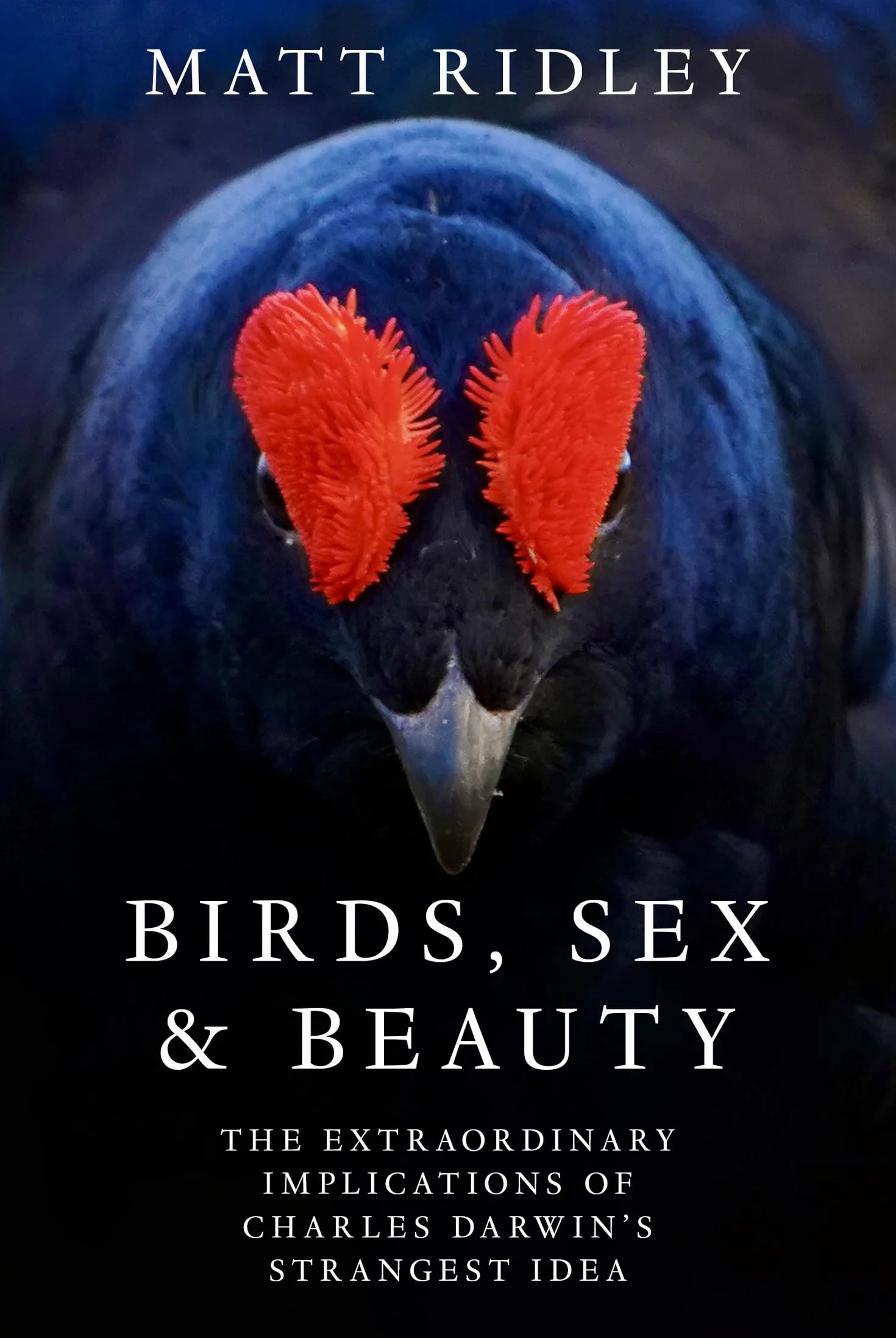 Birds, Sex and Beauty: the extraordinary new book on Darwin’s sexual selection theory from bestselling science writer Matt Ridley