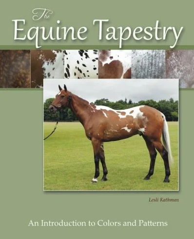 The Equine Tapestry: An Introduction to Colors and Patterns