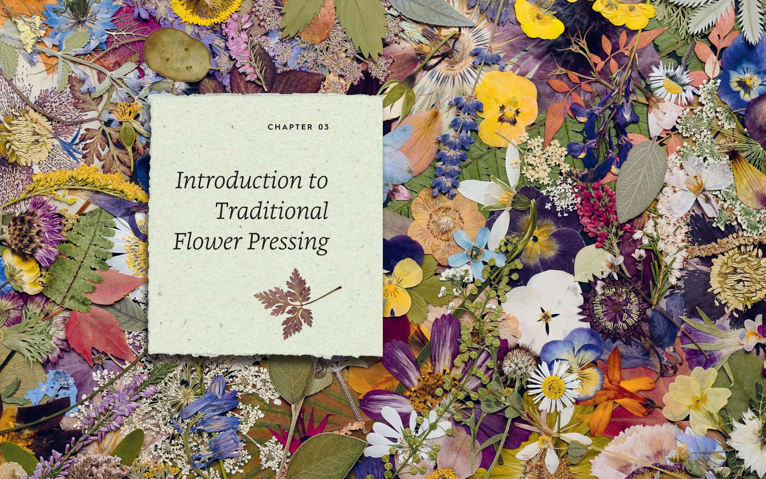 The Pressed Flower Handbook: Simple Methods for Connecting with Nature and Preserving the Beauty of the Garden Through the Seasons - Grow, Gather, Press, Create