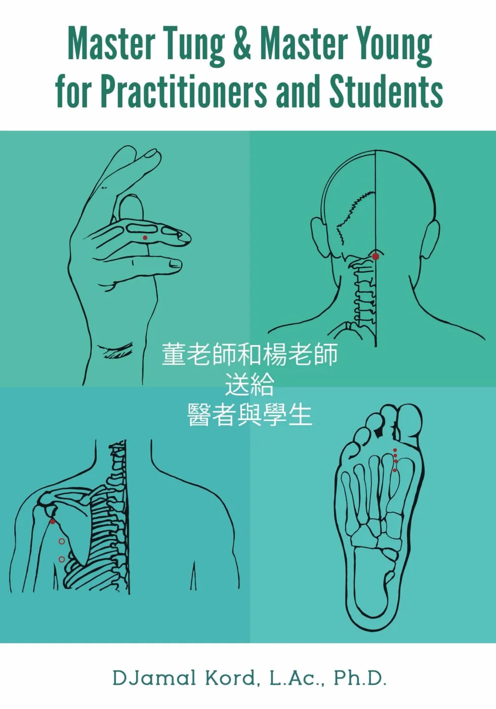 Master Tung & Master Young for Practitioners and Students: The Authoritative Quick Reference Guide to Master Tung’s Acupuncture Points