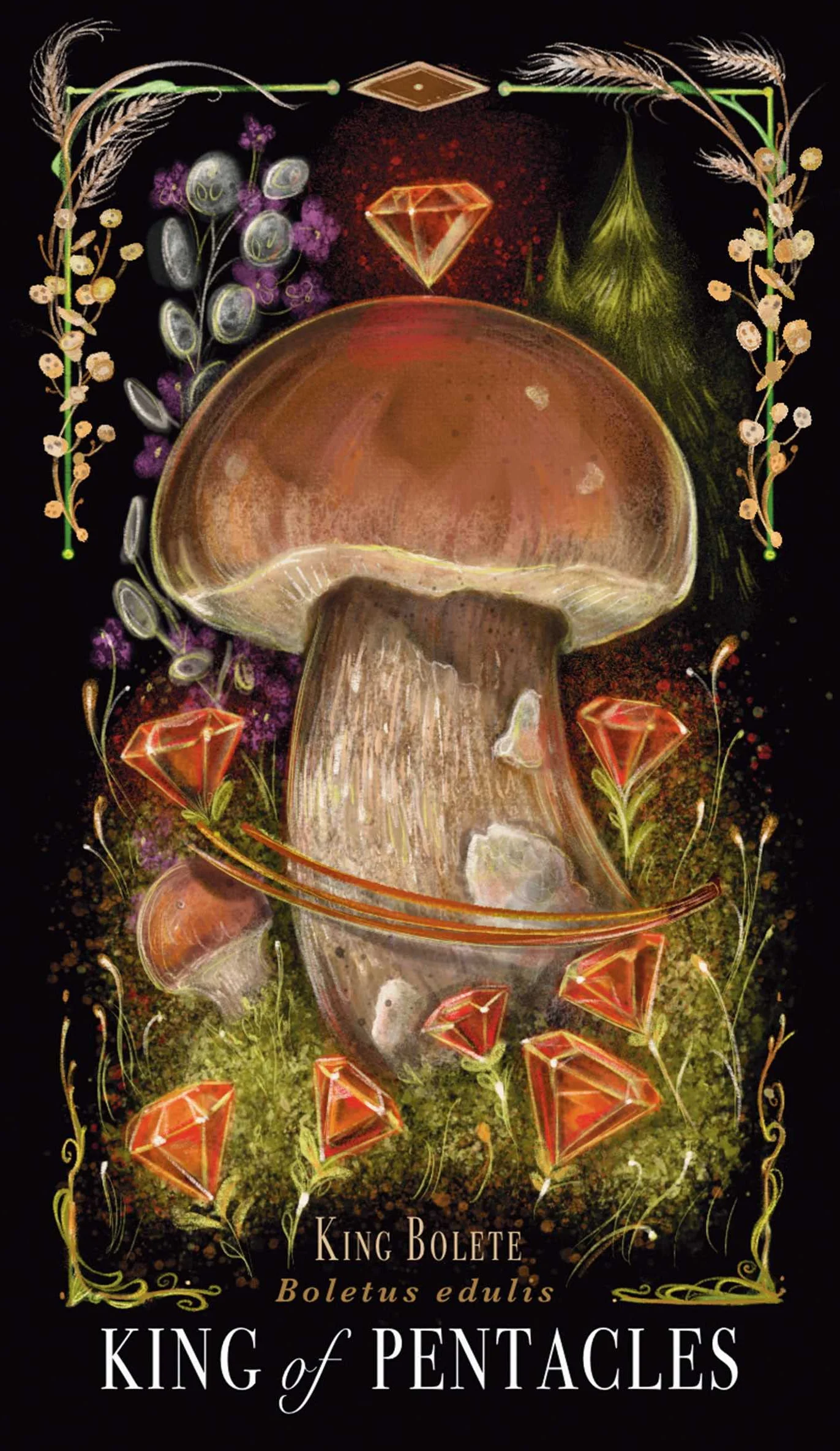 Midnight Magic: A Tarot Deck of Mushrooms