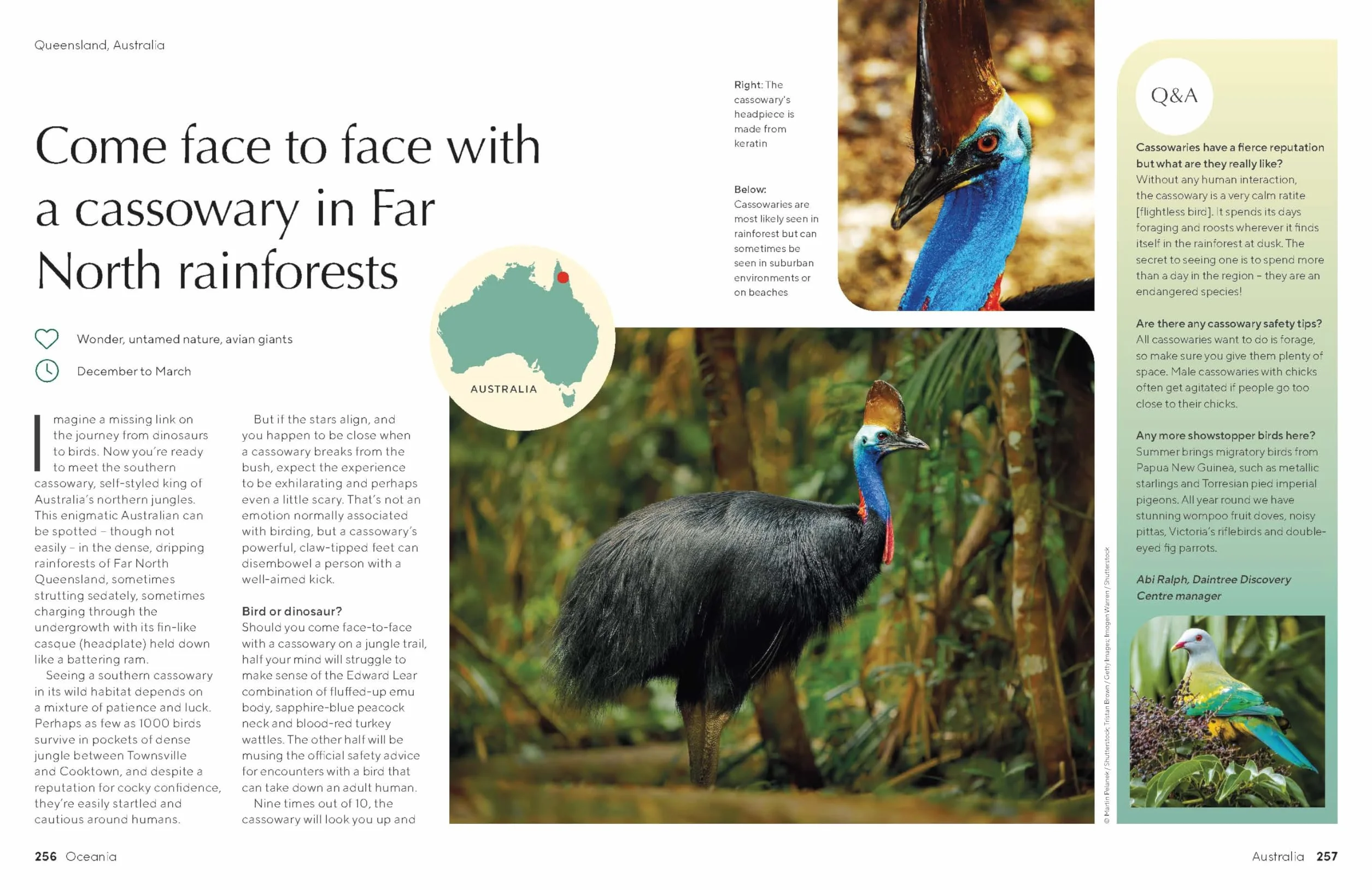 The Joy of Birdwatching - anglais: The World's Most Joyous Birding Adventures | Connect with Nature & Meet Remarkable Creatures | Packed with Tips on Where & When to Go